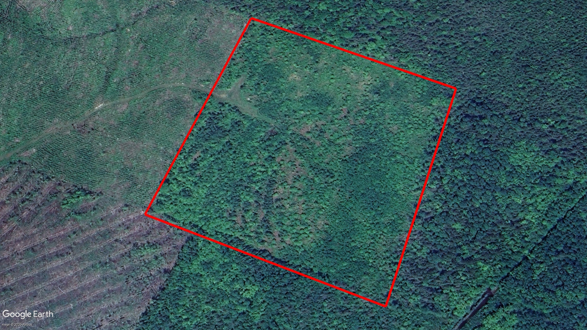 Tax Sale York/Sunbury, New Brunswick - 03547807