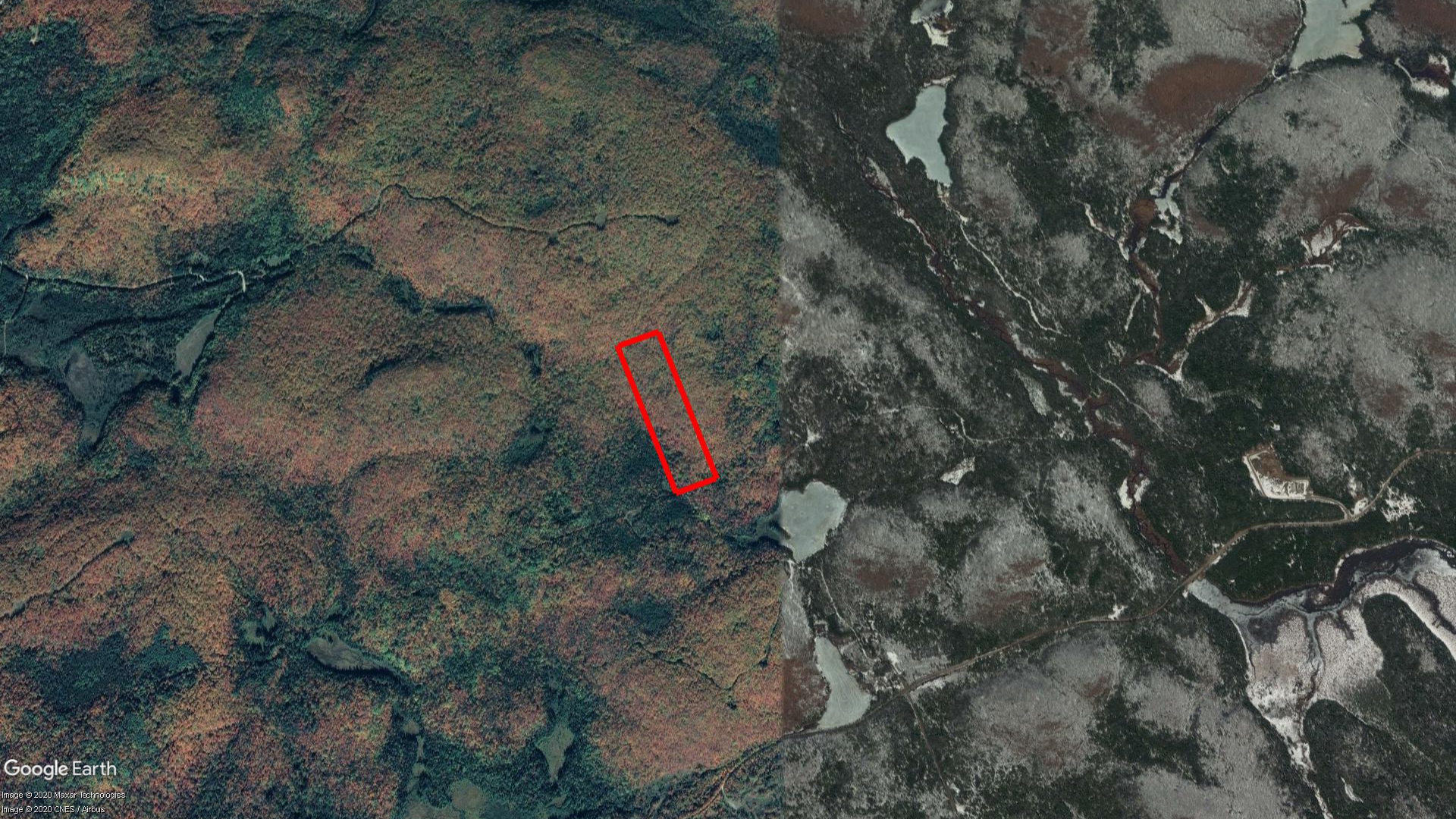 Tax Sale Kearney, Ontario - 49 18 020 006 03001