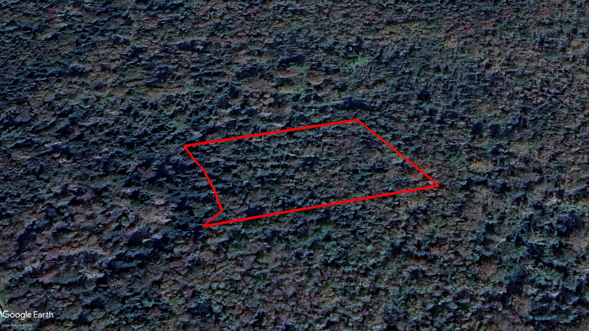 Tax Sale Shelburne, Nova Scotia - 03640205