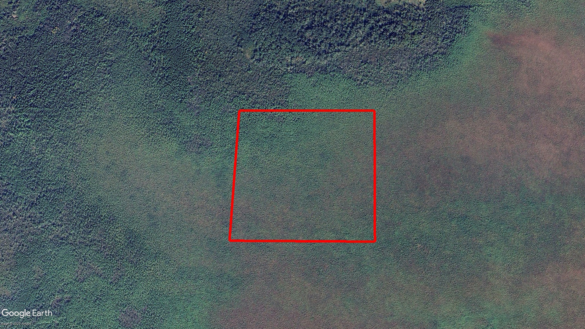 Tax Sale Dawson, Ontario - 