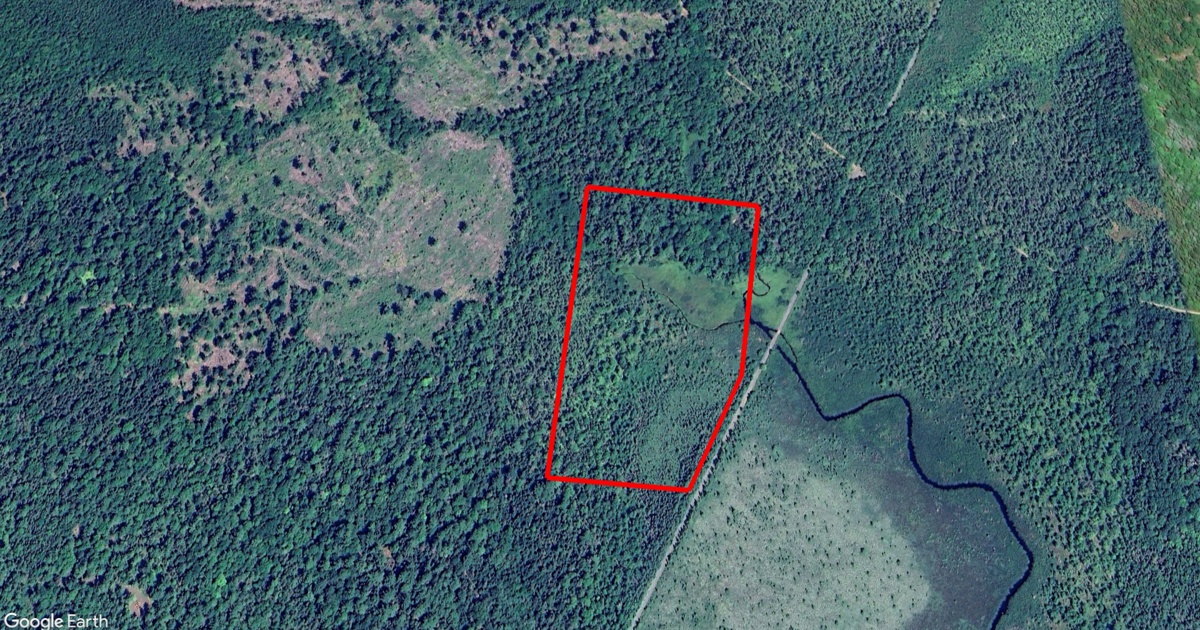 Tax Sale in Queens, Nova Scotia simpsons rd, south brookfield Tax