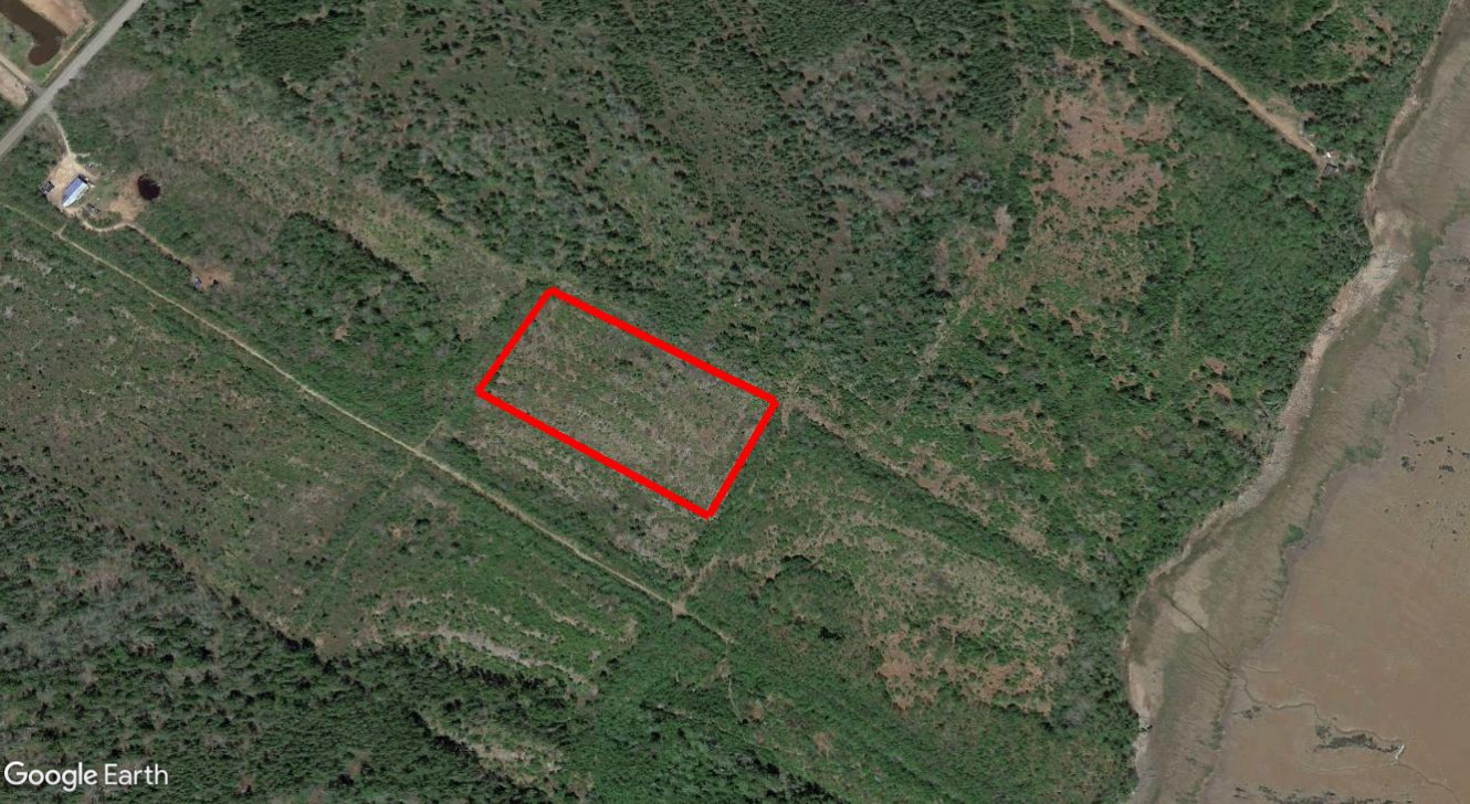 Tax Sale Moncton, New Brunswick -  04245733