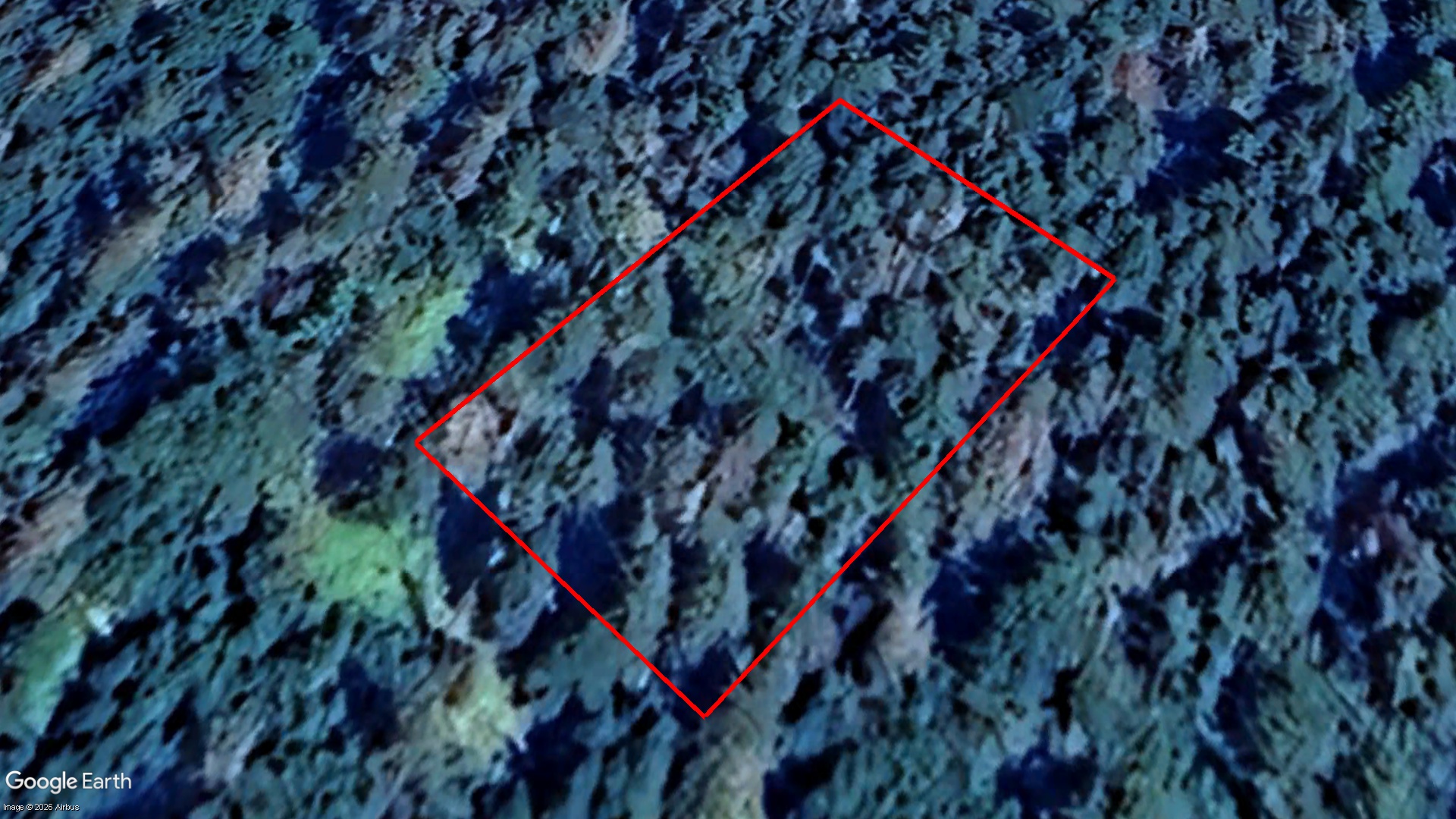 Tax Sale Lunenburg, Nova Scotia - 08242240