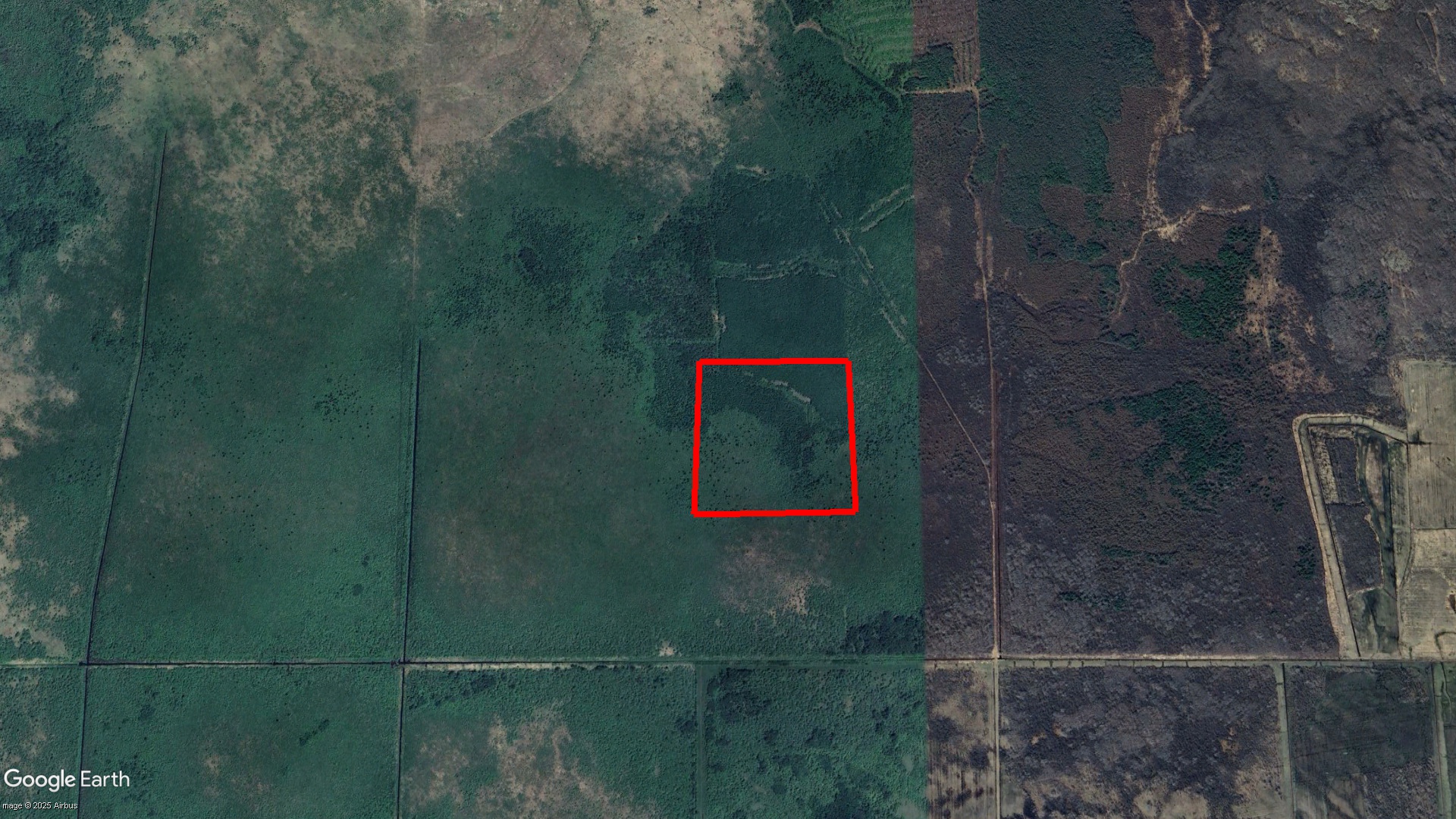 Tax Sale Dawson, Ontario - 