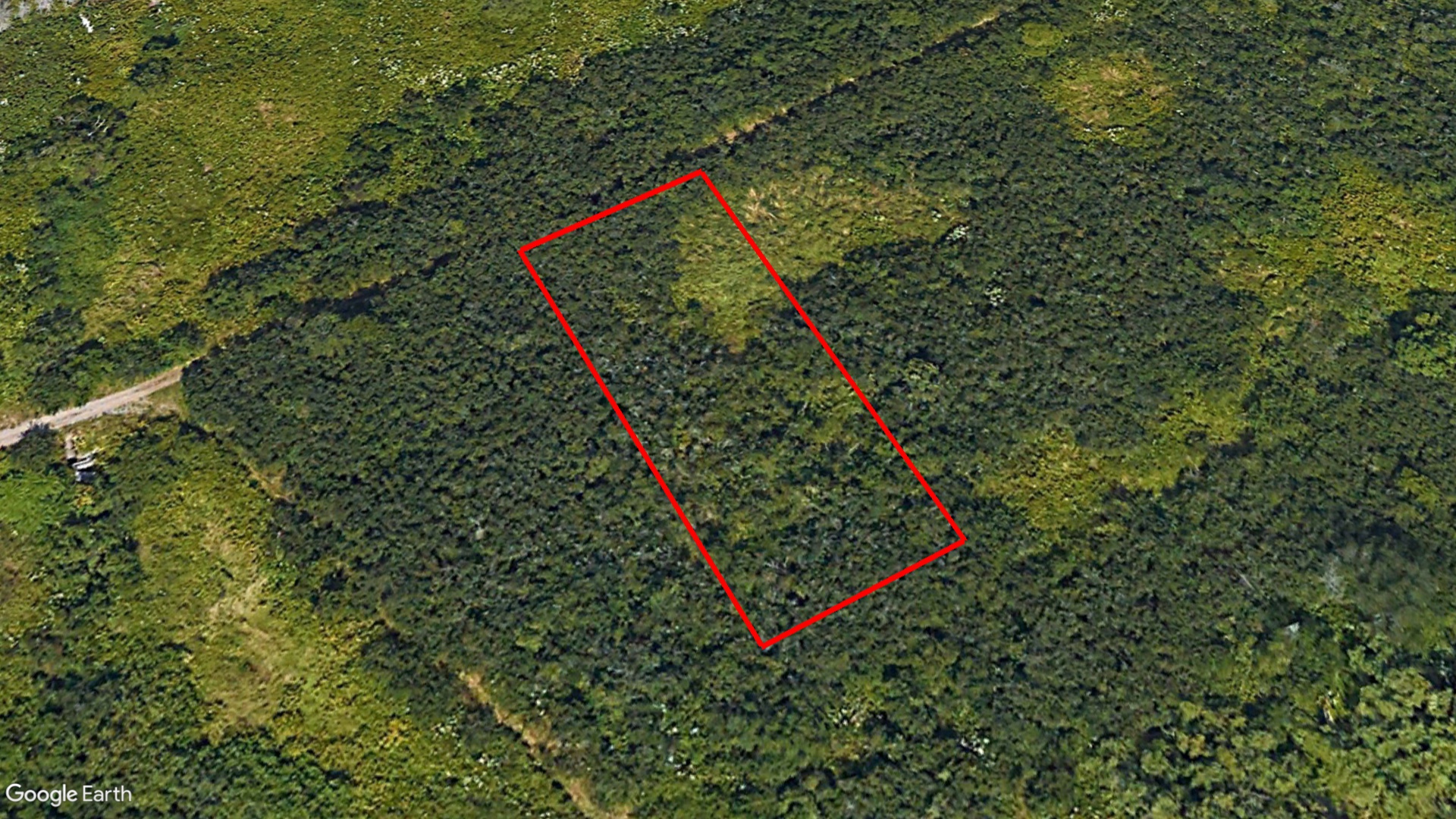 Tax Sale Saint John, New Brunswick - 01578488