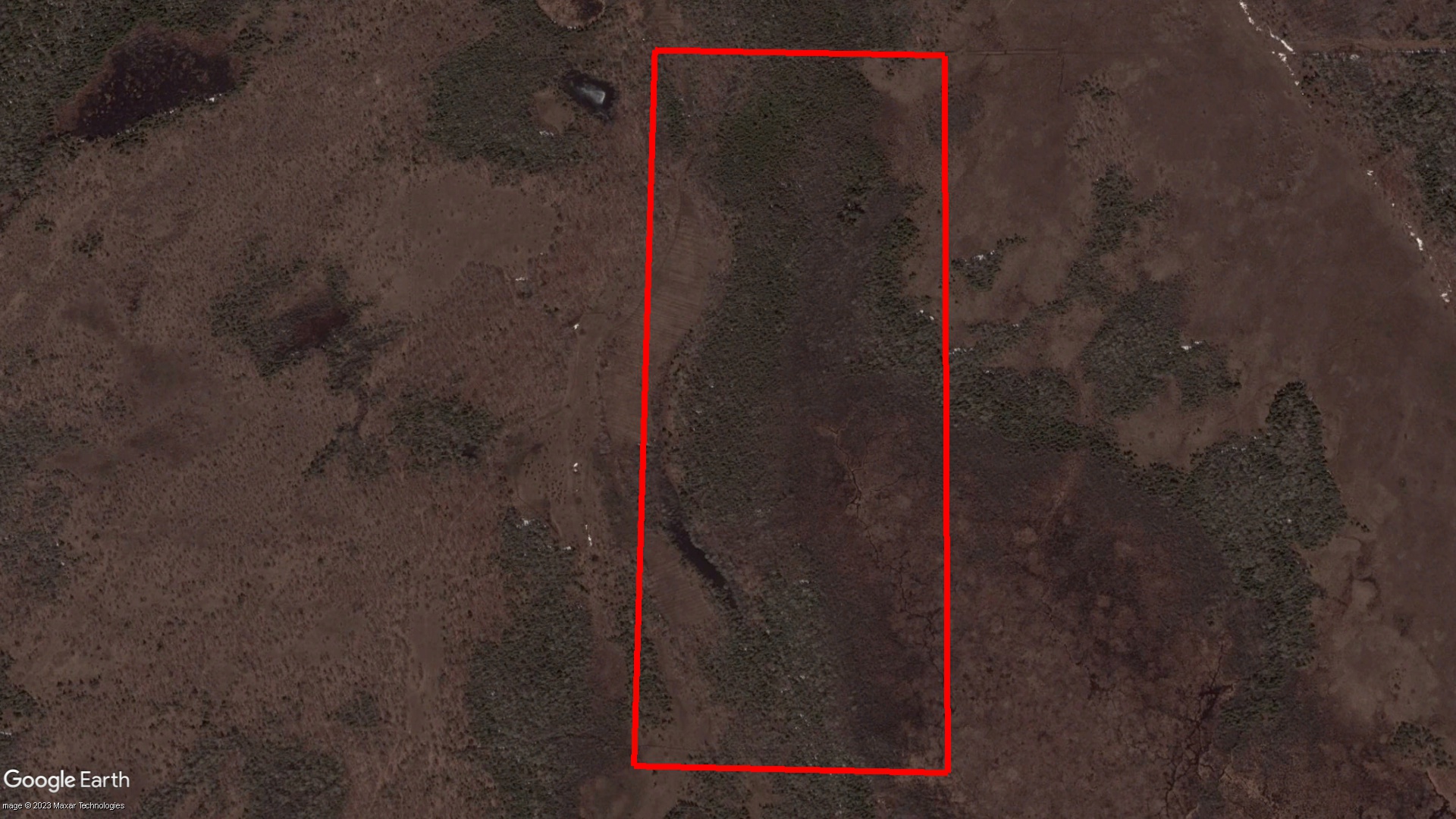 Tax Sale Assiginack, Ontario - 5111 000 004 01100 0000