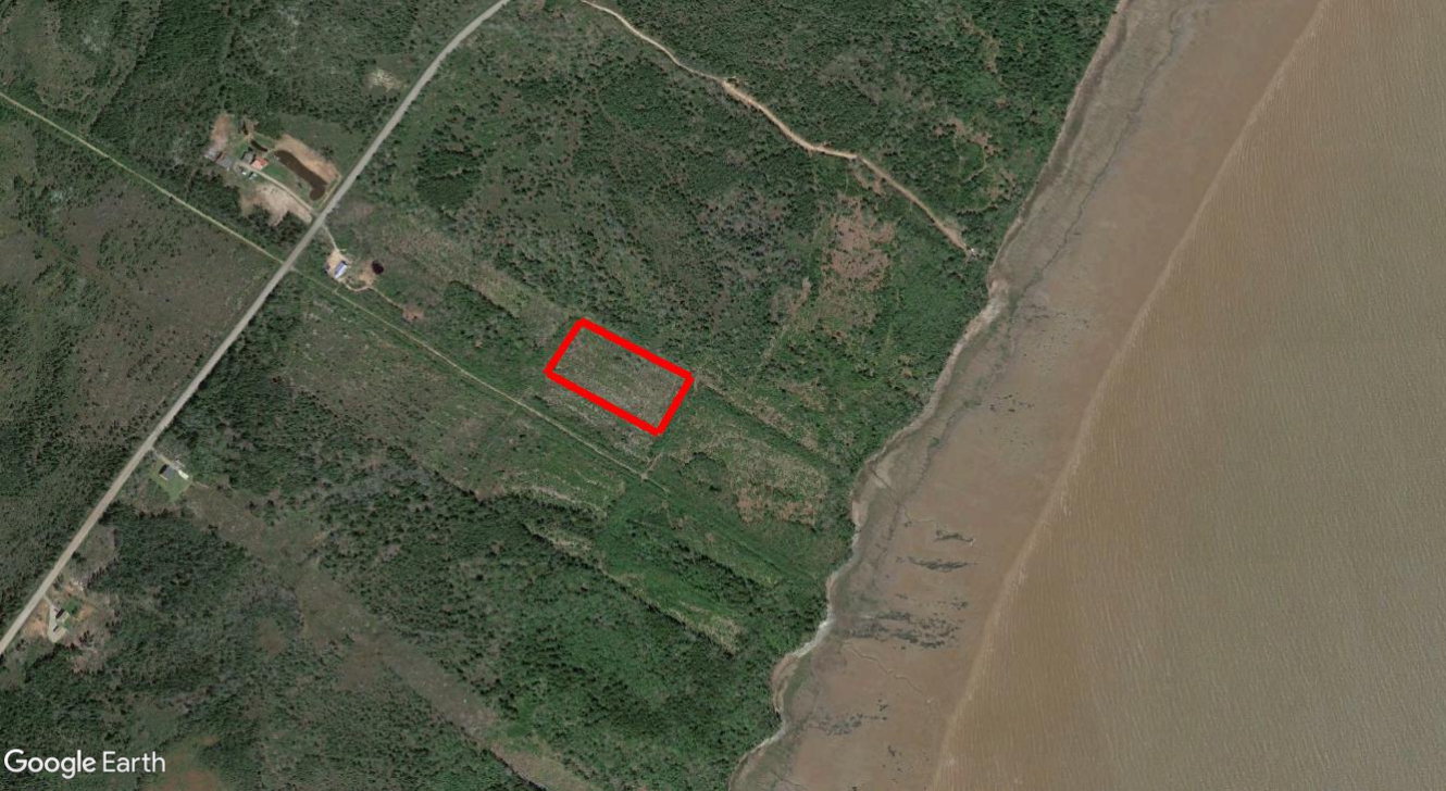 Tax Sale Moncton, New Brunswick -  04245733