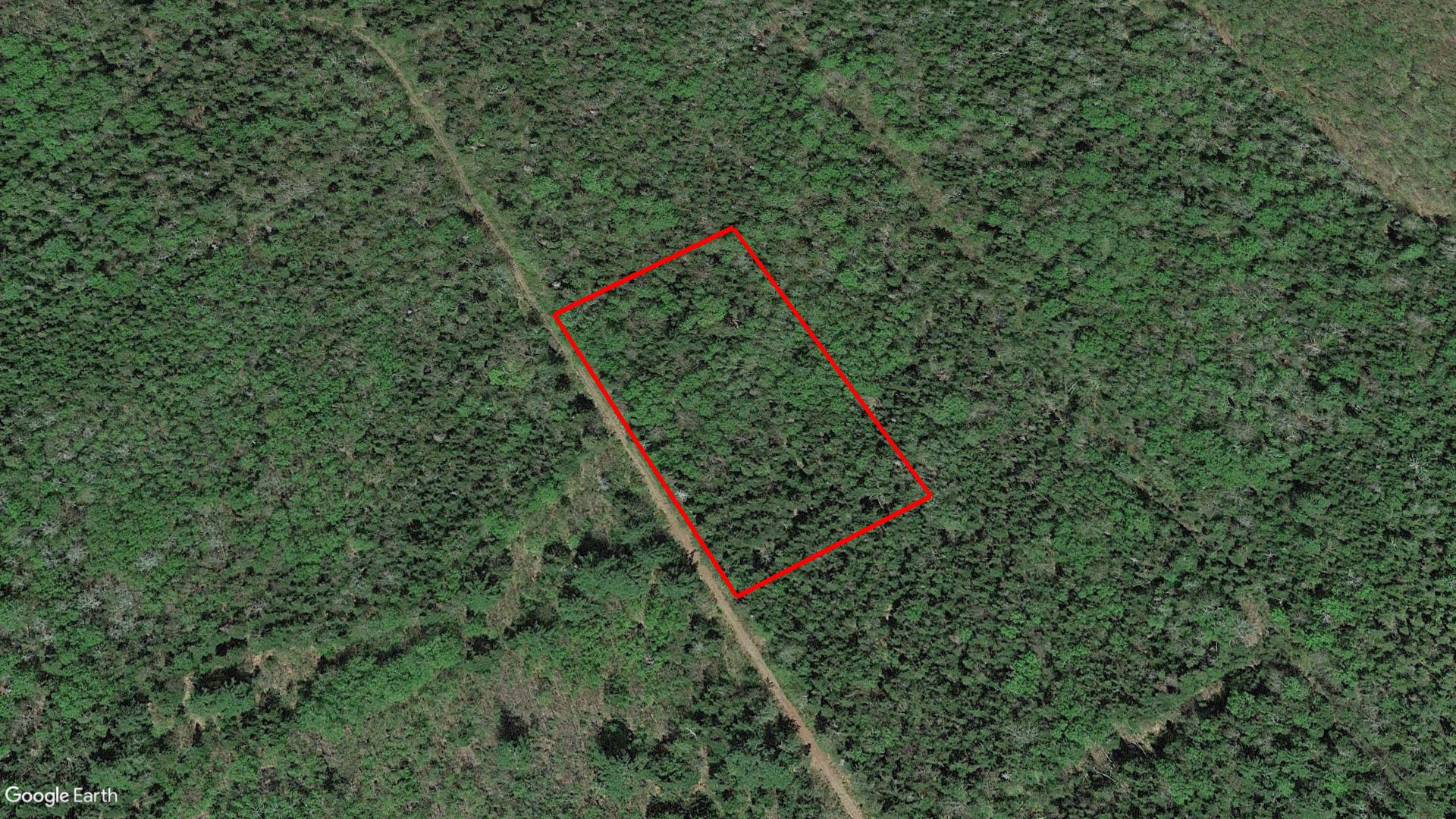 Tax Sale Kent, New Brunswick - 02397704