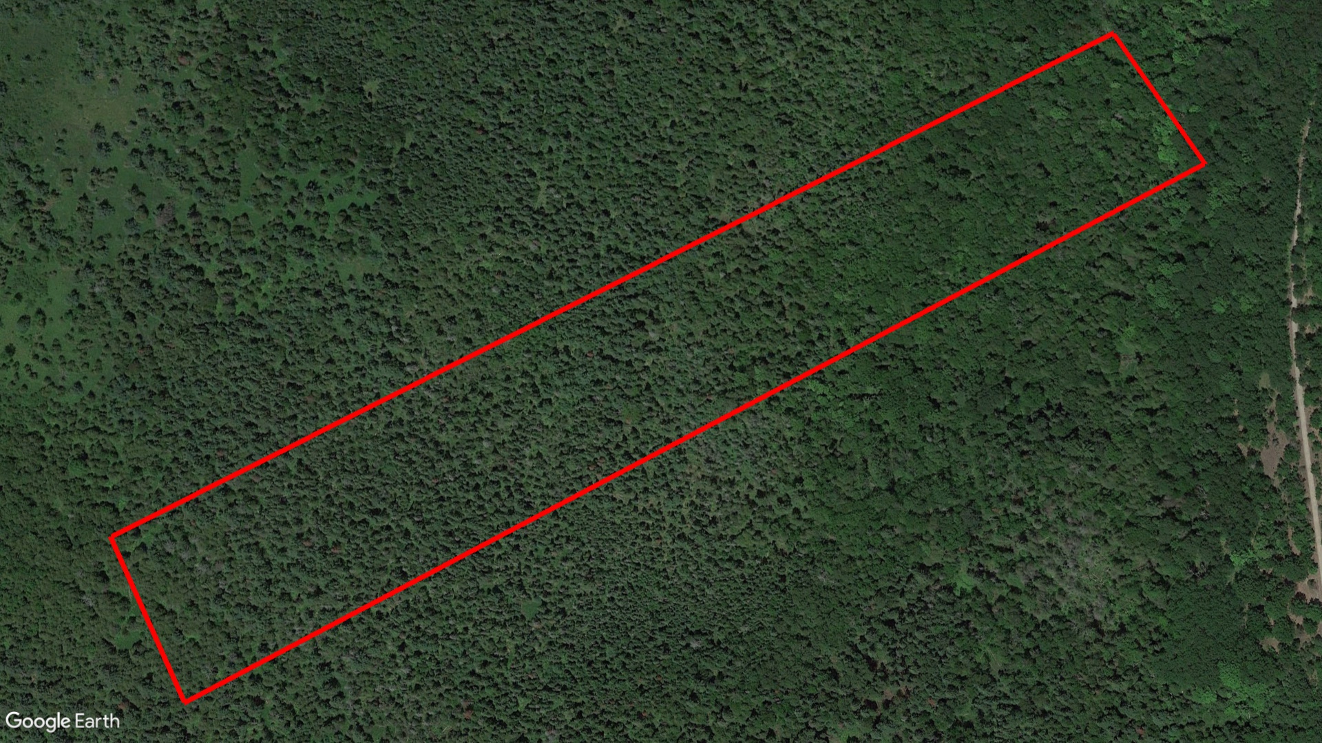 Tax Sale Springwater, Ontario - 43 41 010 006 21600 0000