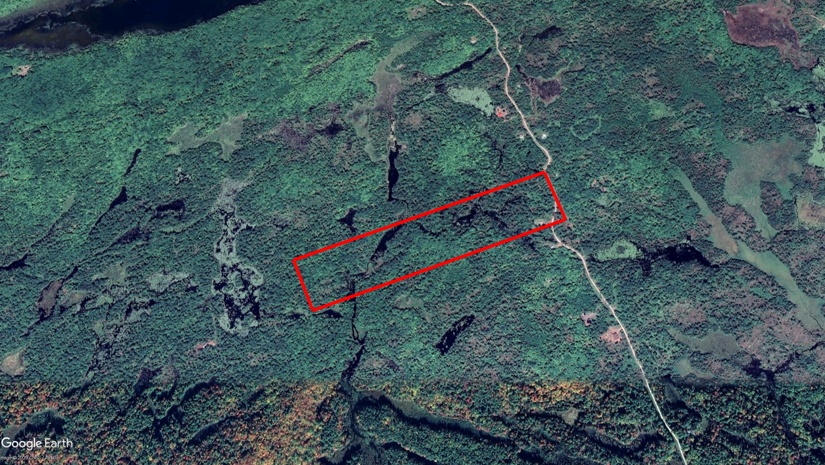 Tax Sale Wollaston, Ontario - 1254 000 030 02300 0000