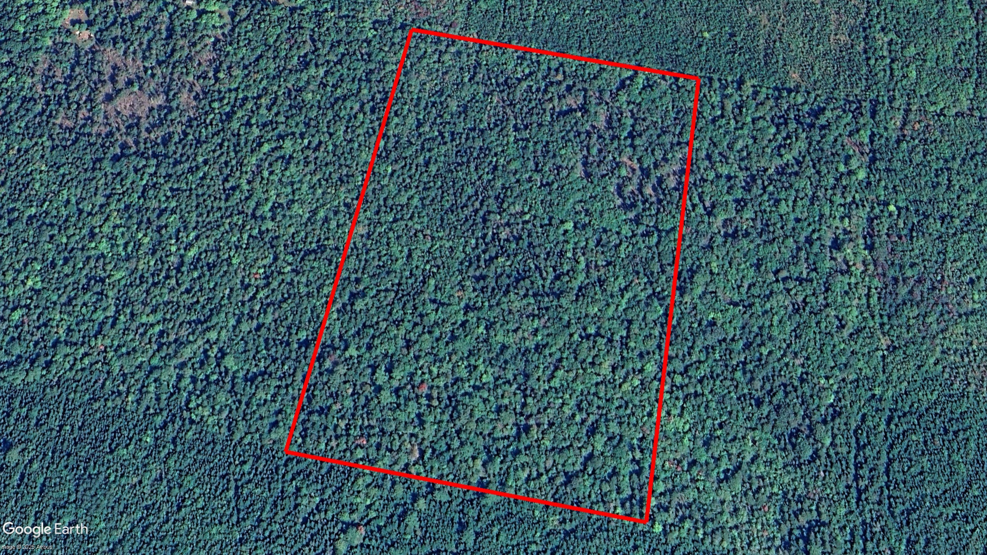 Tax Sale York/Sunbury, New Brunswick - 00619914