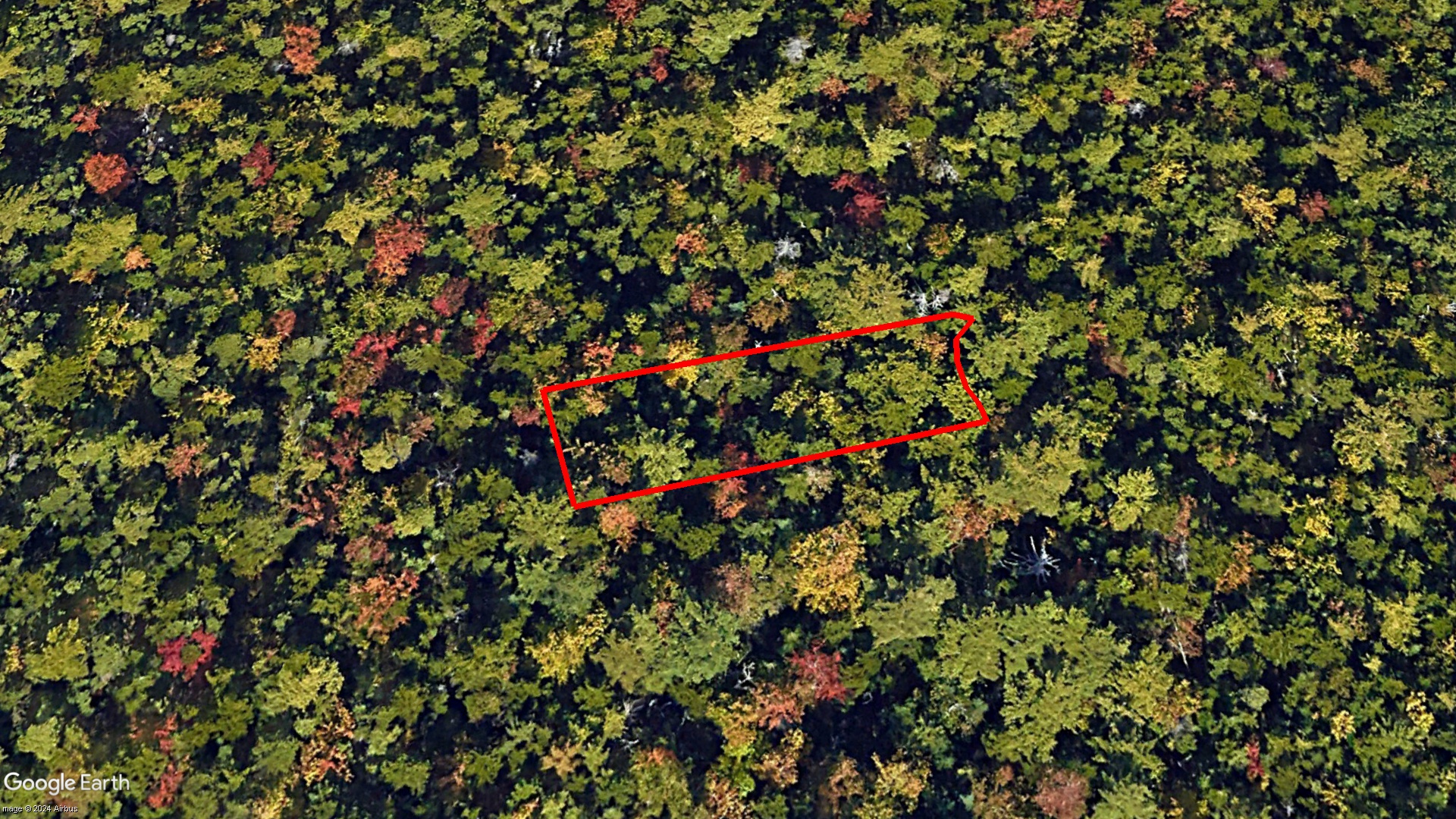 Tax Sale Halifax, Nova Scotia - 10923867