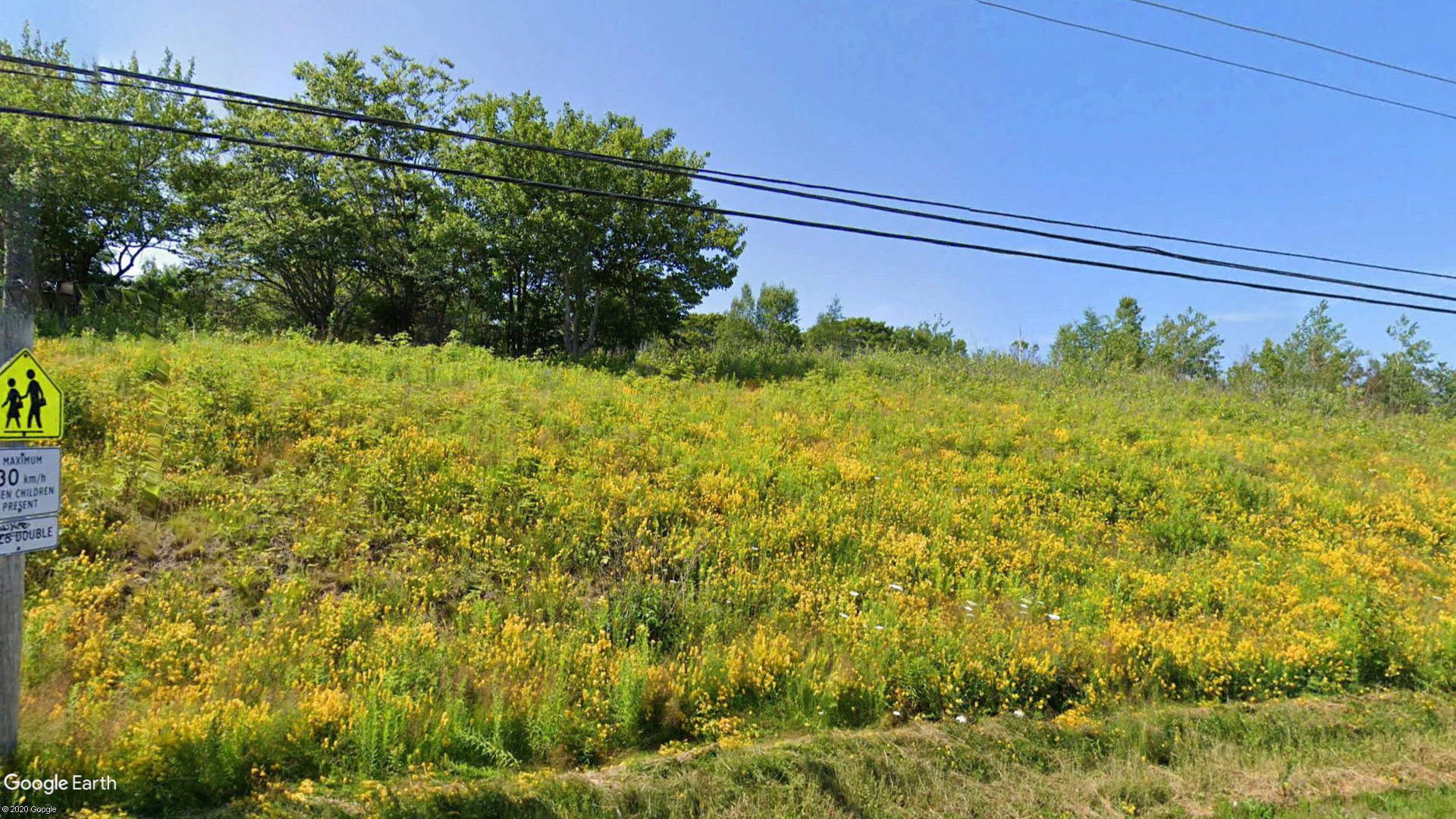 Tax Sale Cape Breton, Nova Scotia - 9239847 