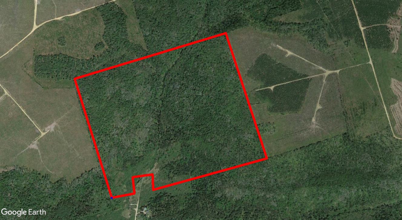 Tax Sale Moncton, New Brunswick - 01725831