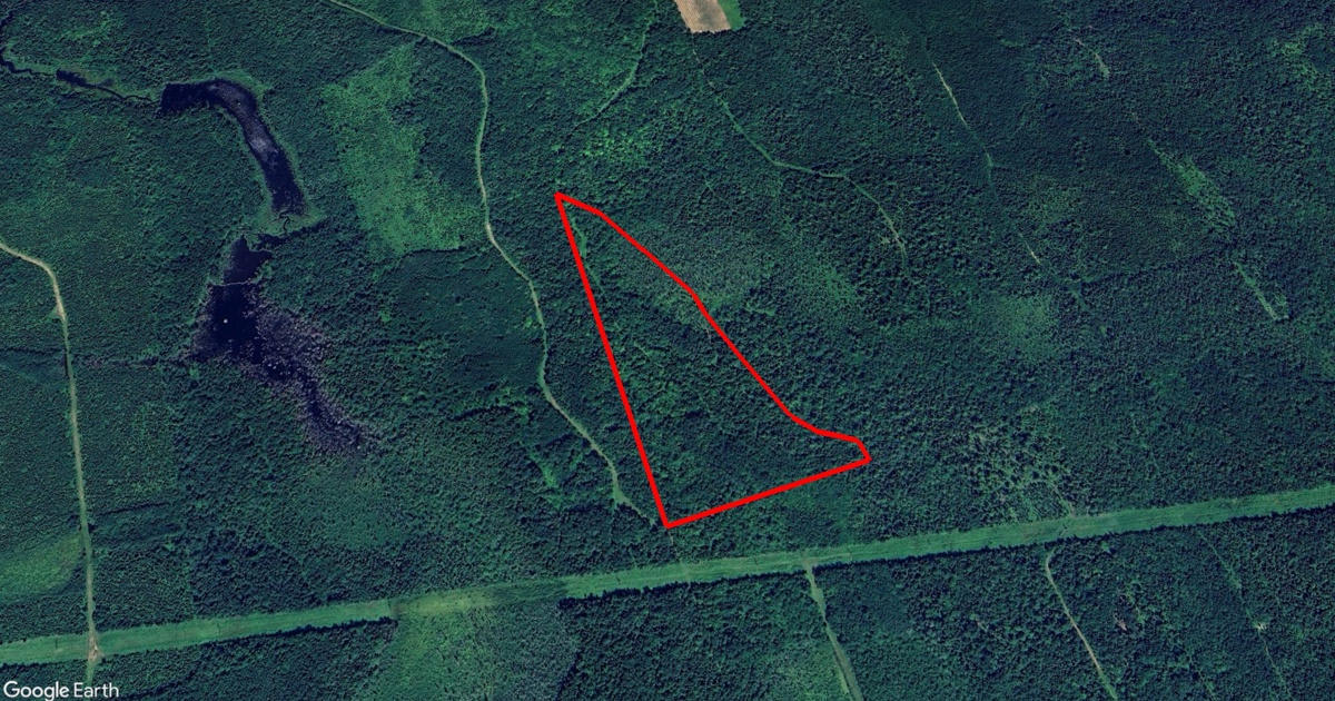 Tax Sale in Gloucester, New Brunswick route 160, bois gagnon, hautesterres Tax Sales Hub