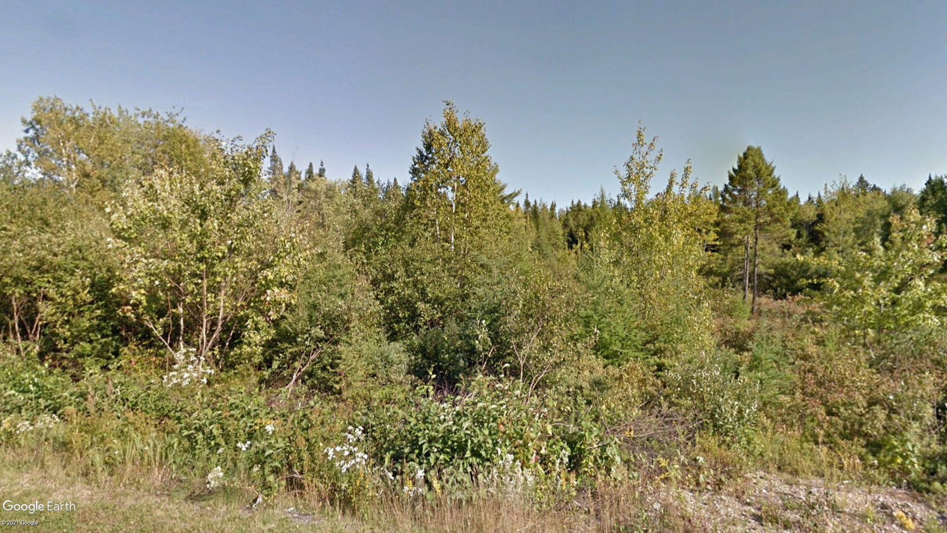 Tax Sale Bathurst, New Brunswick - 03705196