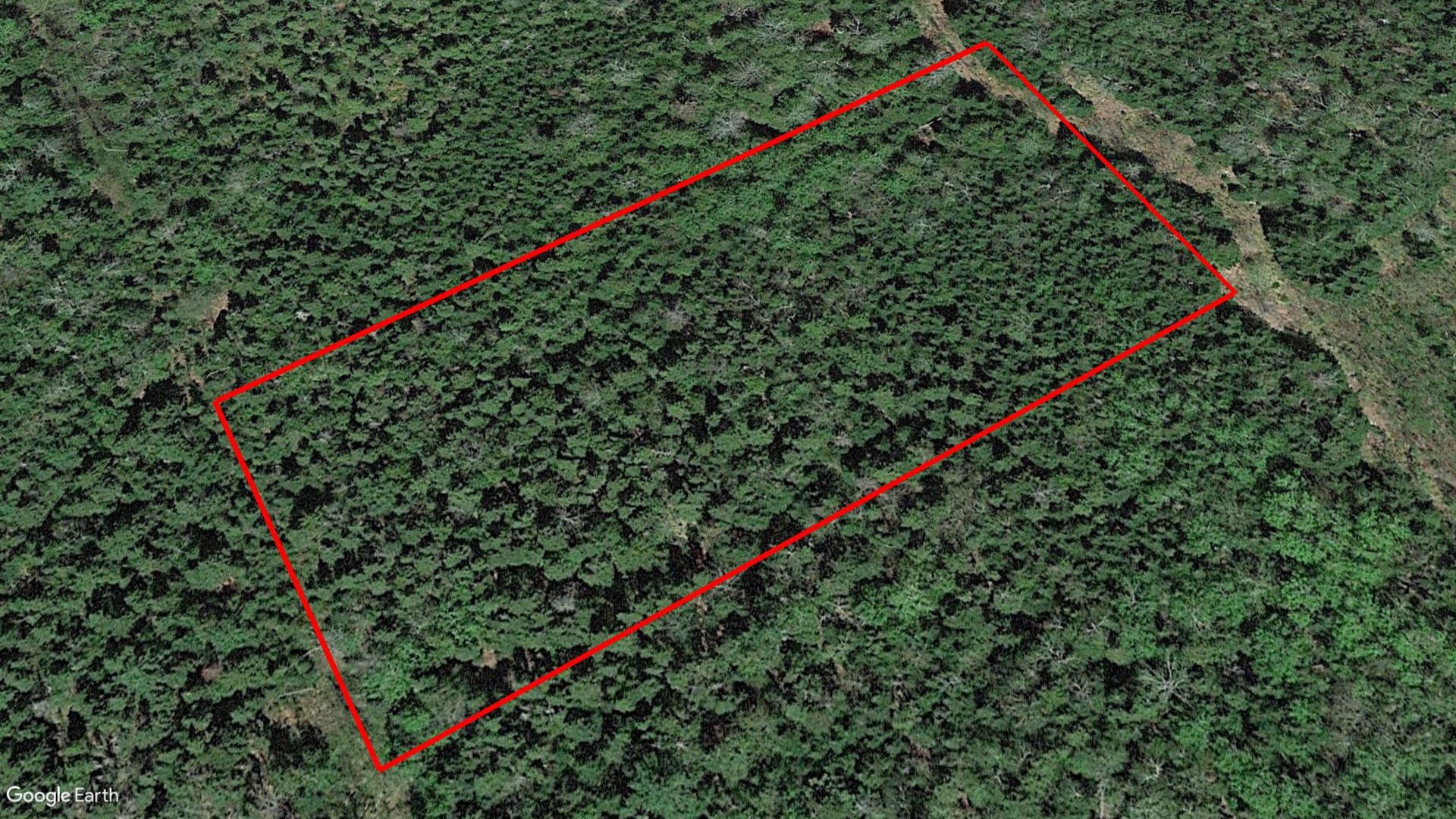 Tax Sale Moncton, New Brunswick - 02397097