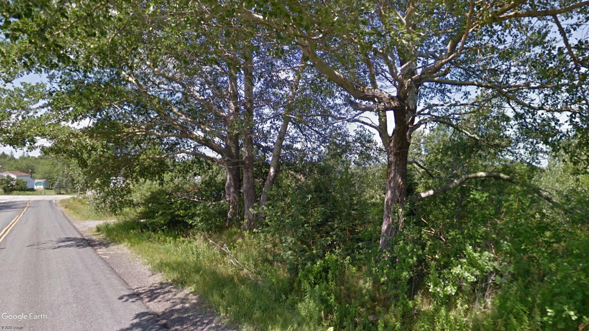 Tax Sale Cape Breton, Nova Scotia - 2841703