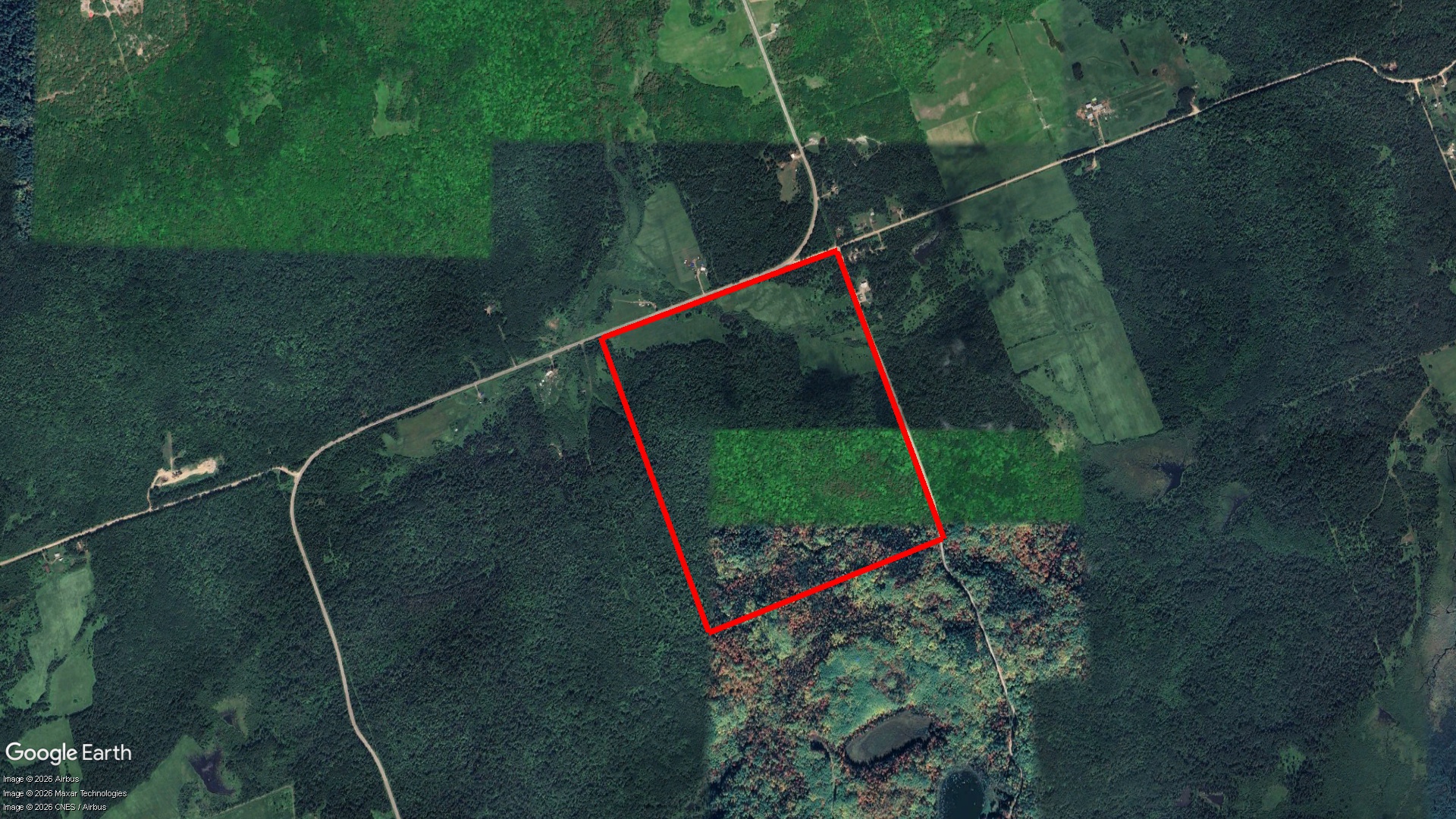 41 BRONSON LAKE RD., CALVIN