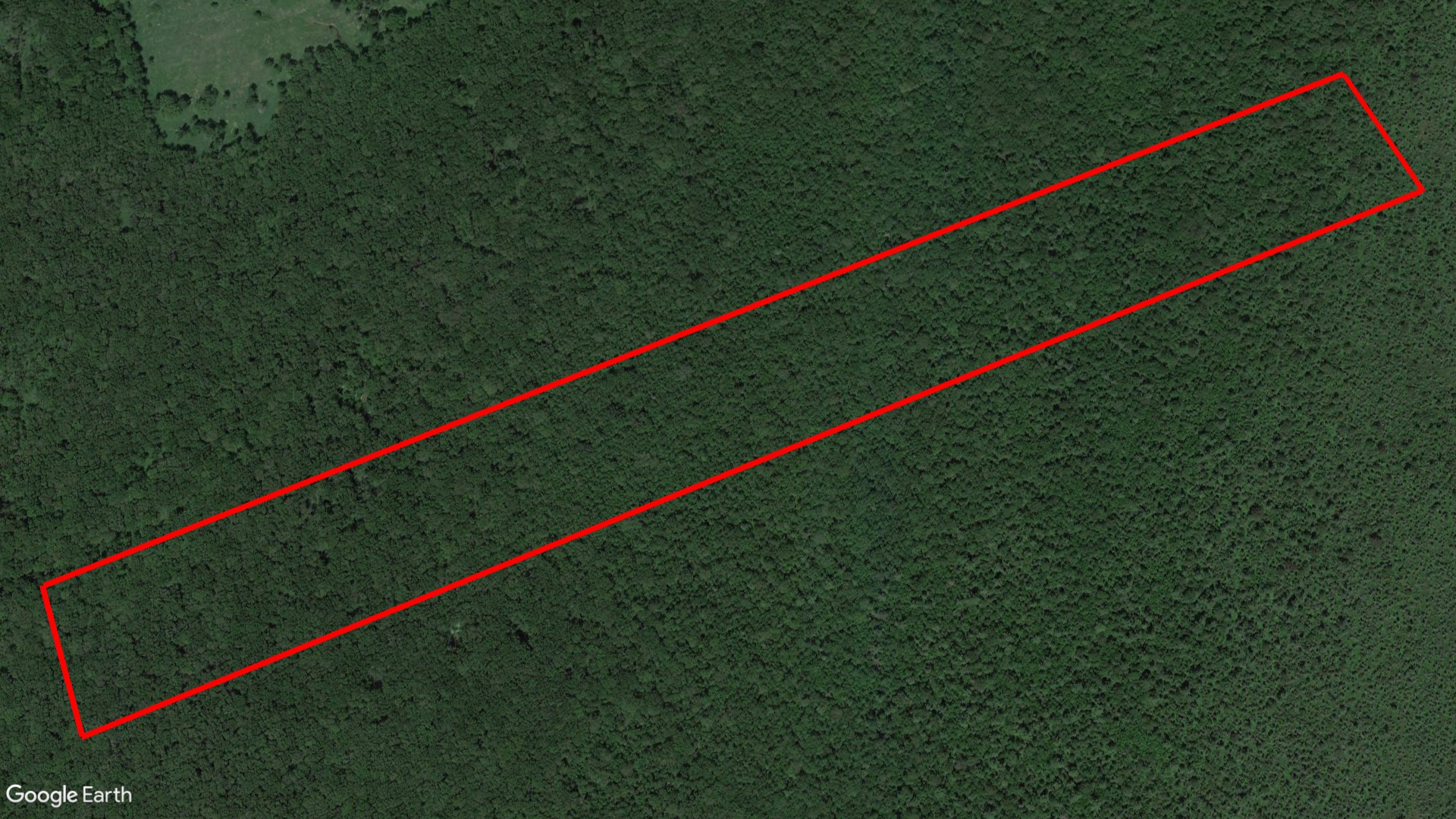 Tax Sale Springwater, Ontario - 43 41 010 008 11300 0000