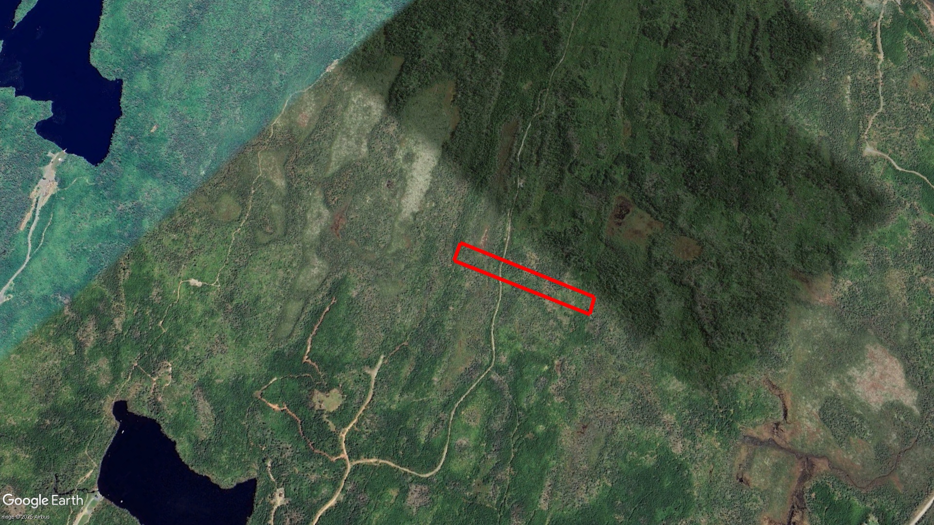 Tax Sale Halifax, Nova Scotia - 09001468