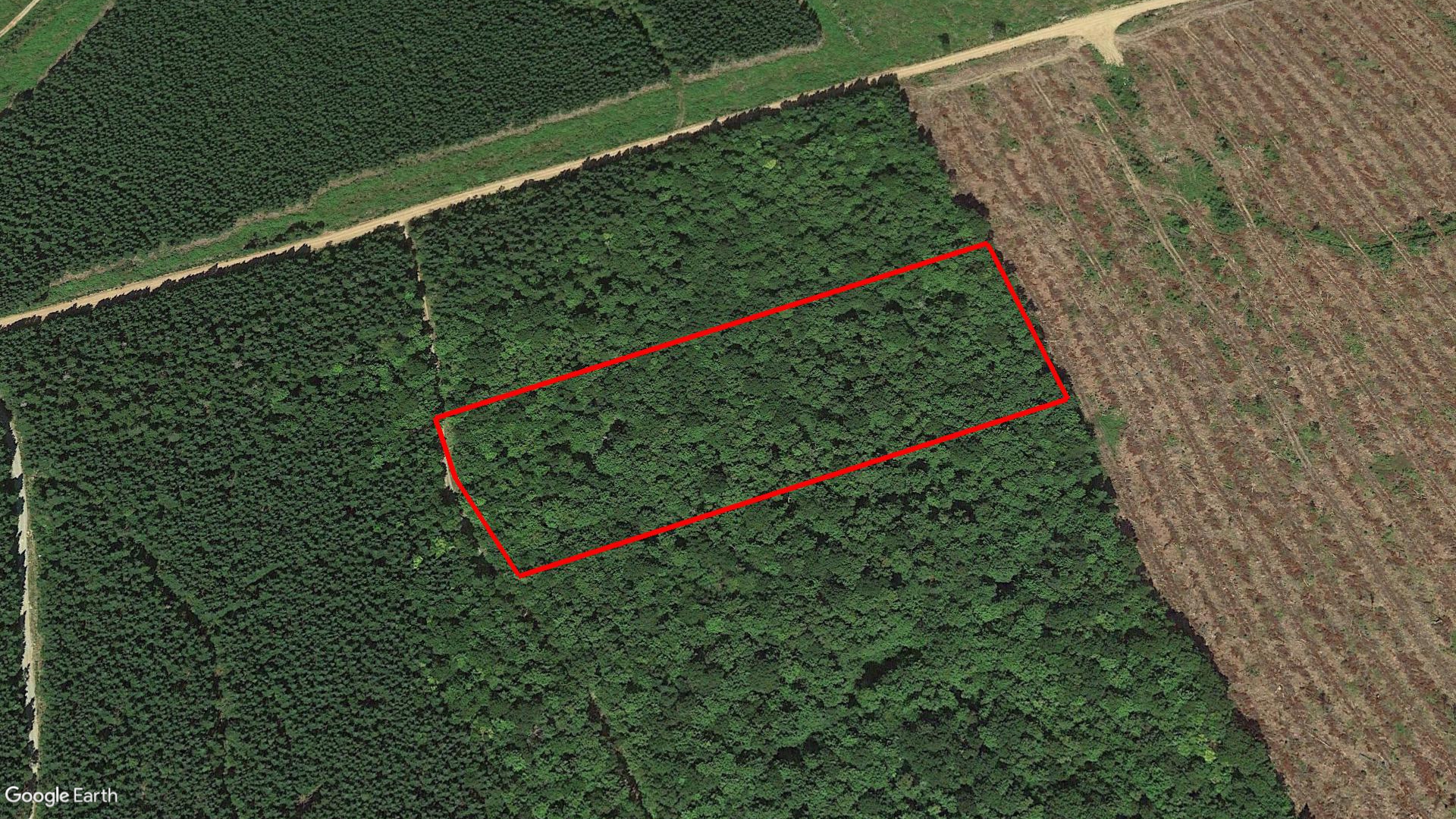 Tax Sale Albert Westmorland, New Brunswick - 01743627