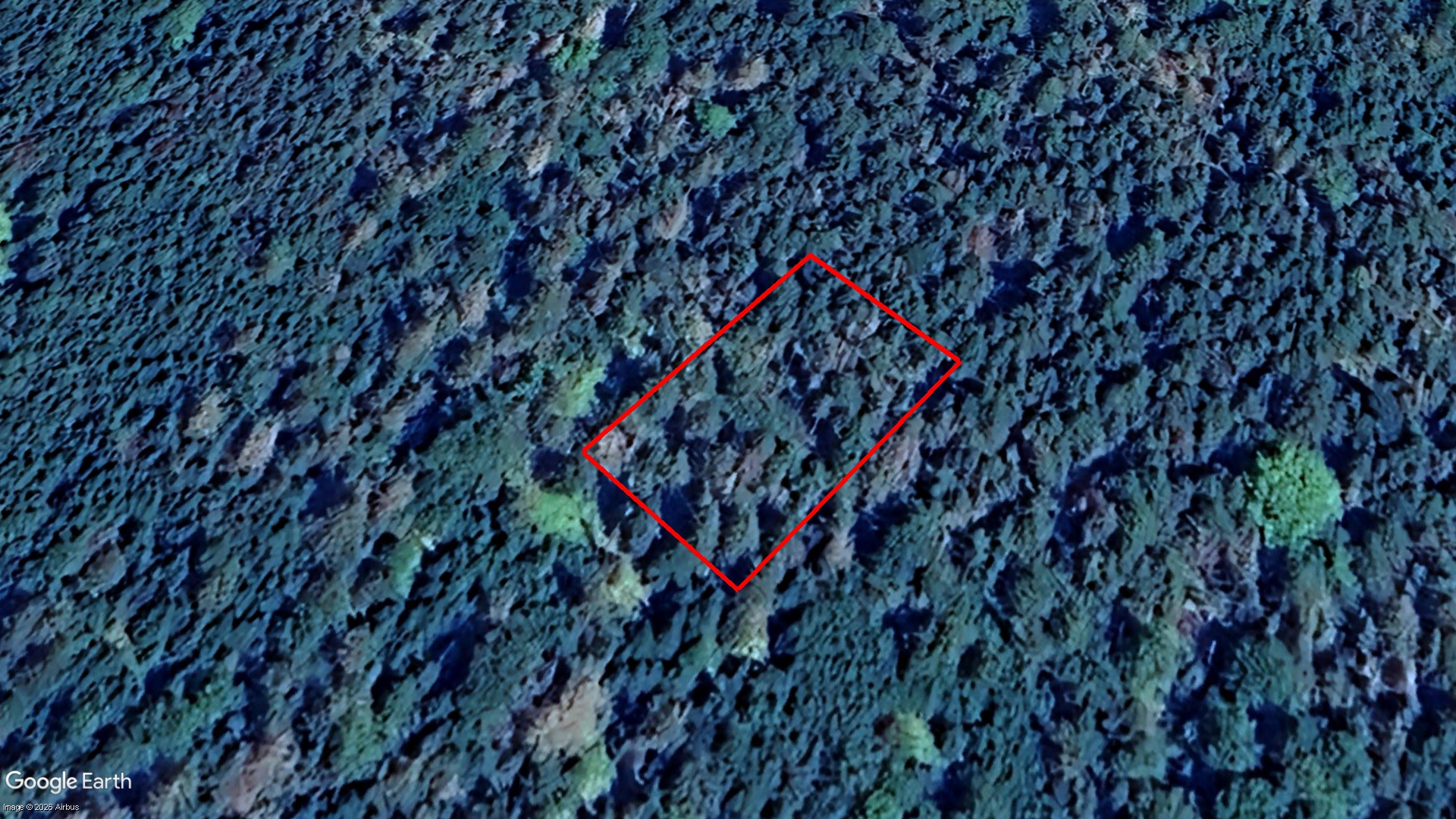 BACK RD VOGLERS COVE, LOT 6 VOGLERS COVE