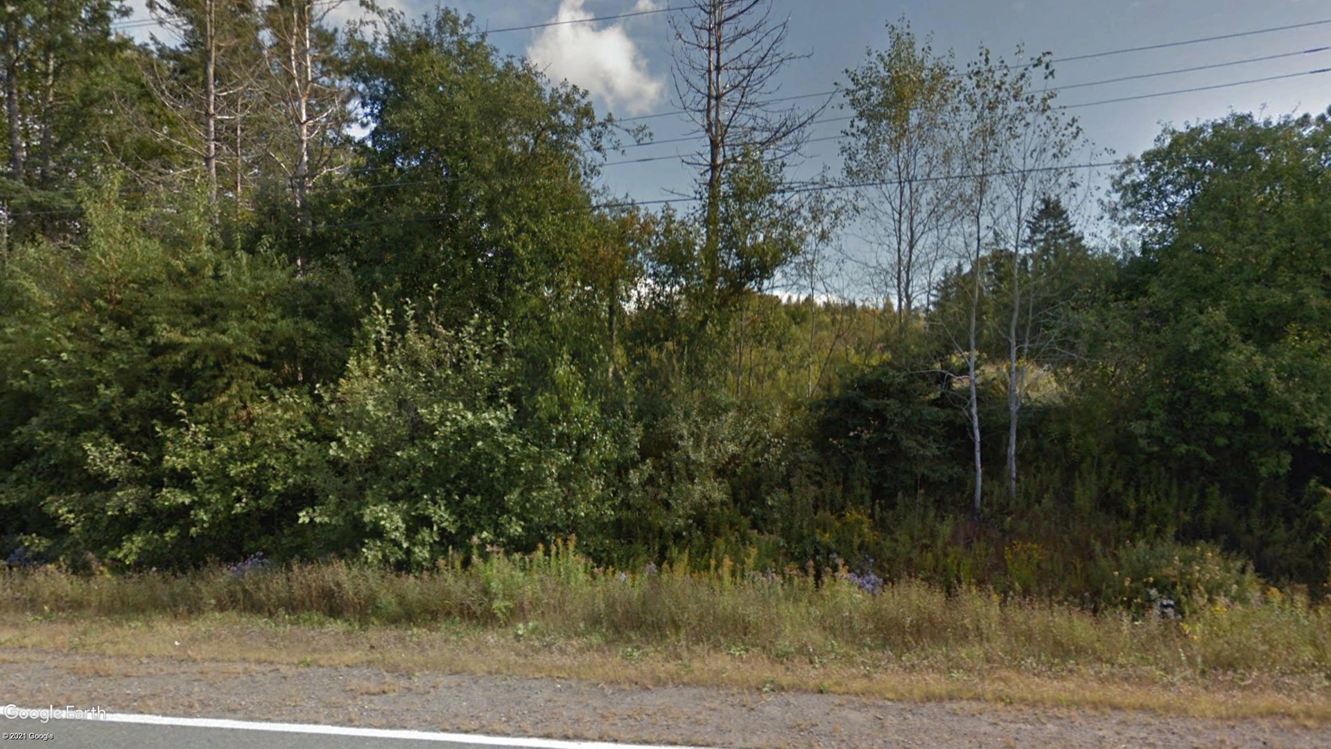 Tax Sale Colchester, Nova Scotia - 01867032