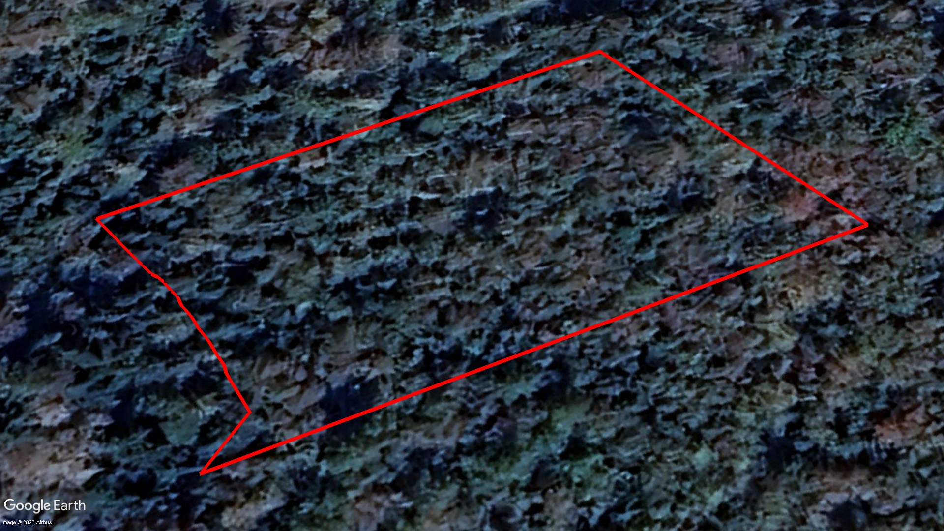 Tax Sale Shelburne, Nova Scotia - 03640205