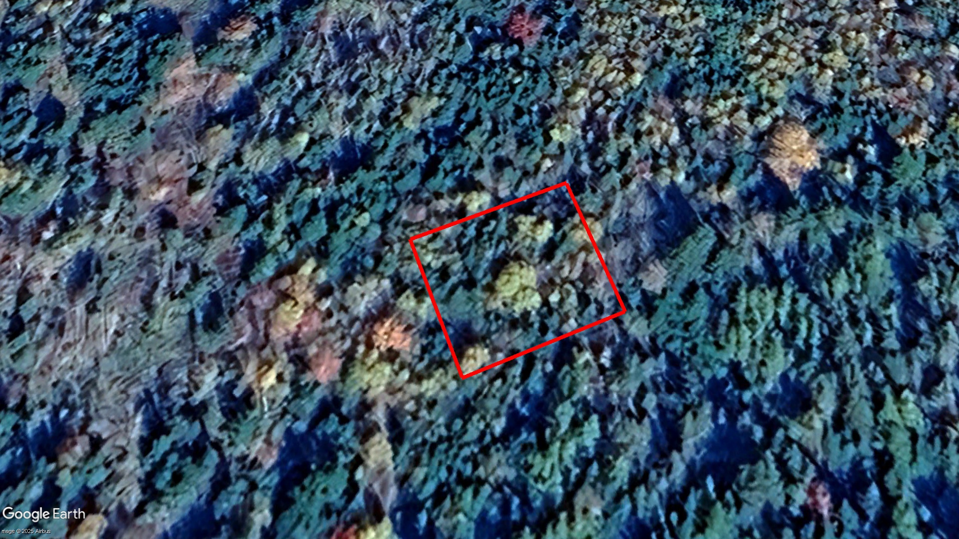 Tax Sale Halifax, Nova Scotia - 01502336