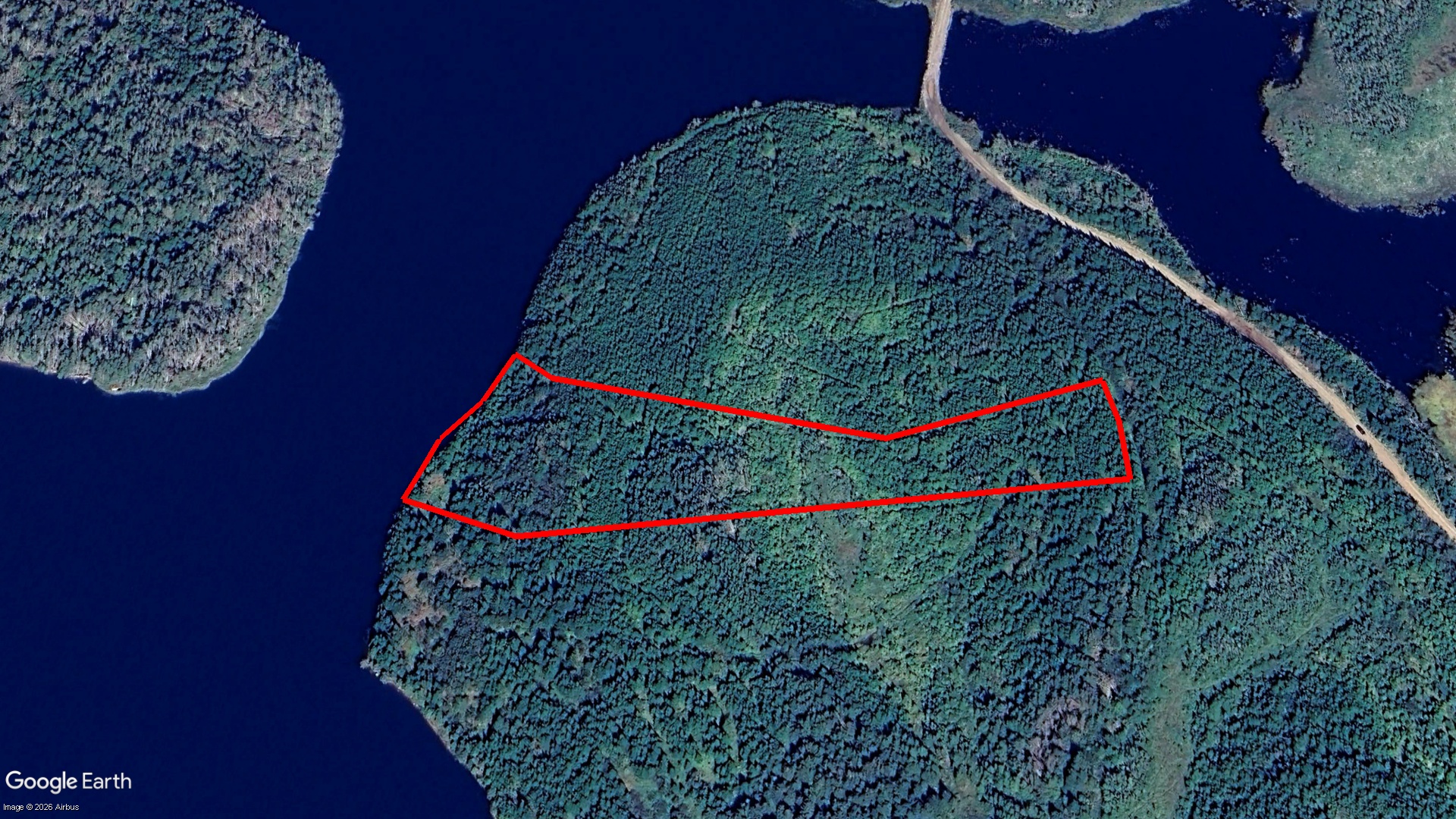 Pig Point RD, Framboise