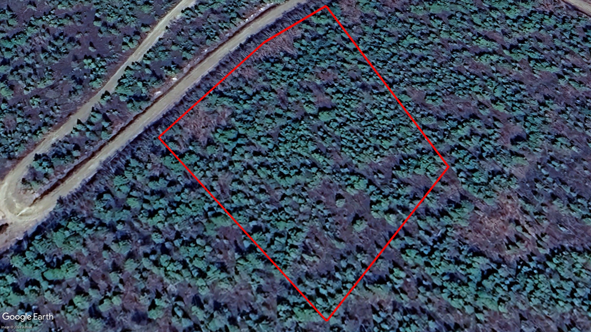 Tax Sale Northumberland, New Brunswick - 02659287