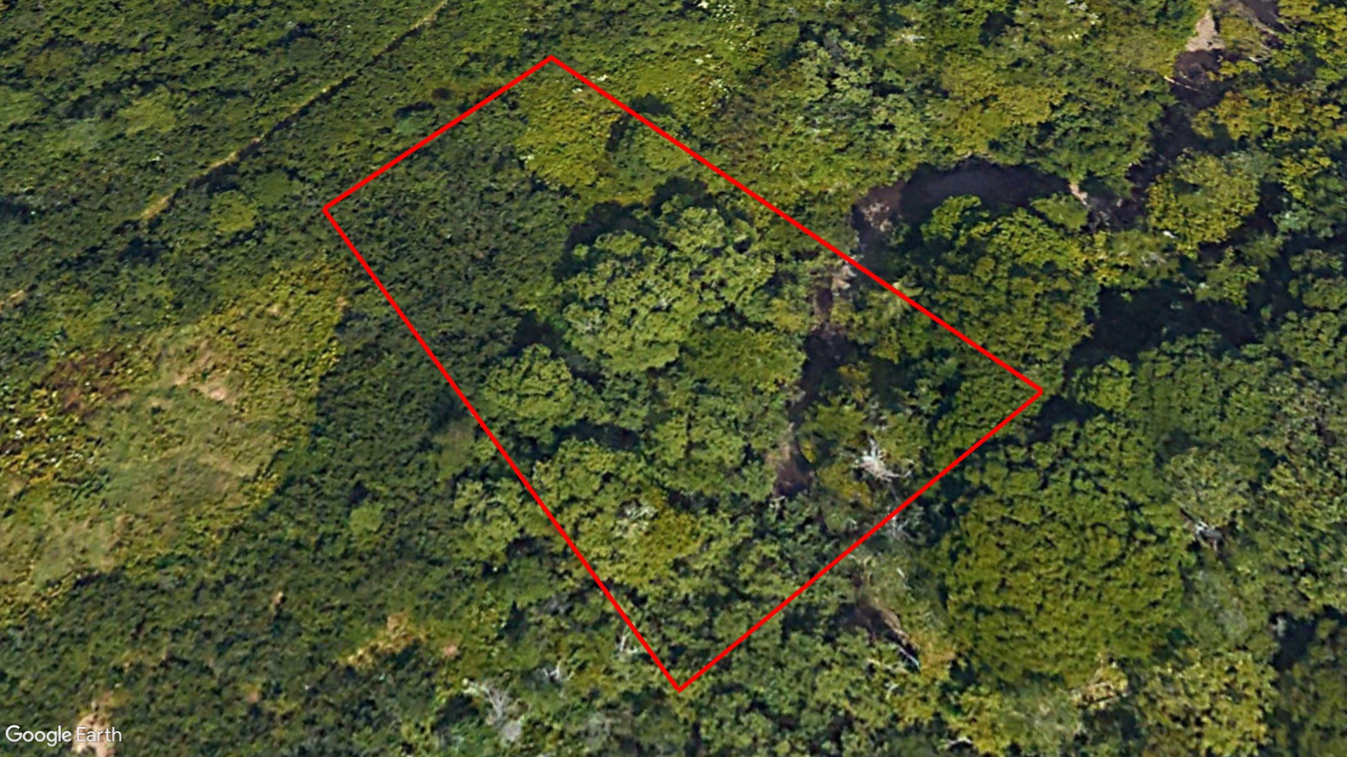 Tax Sale Saint John, New Brunswick - 01578585