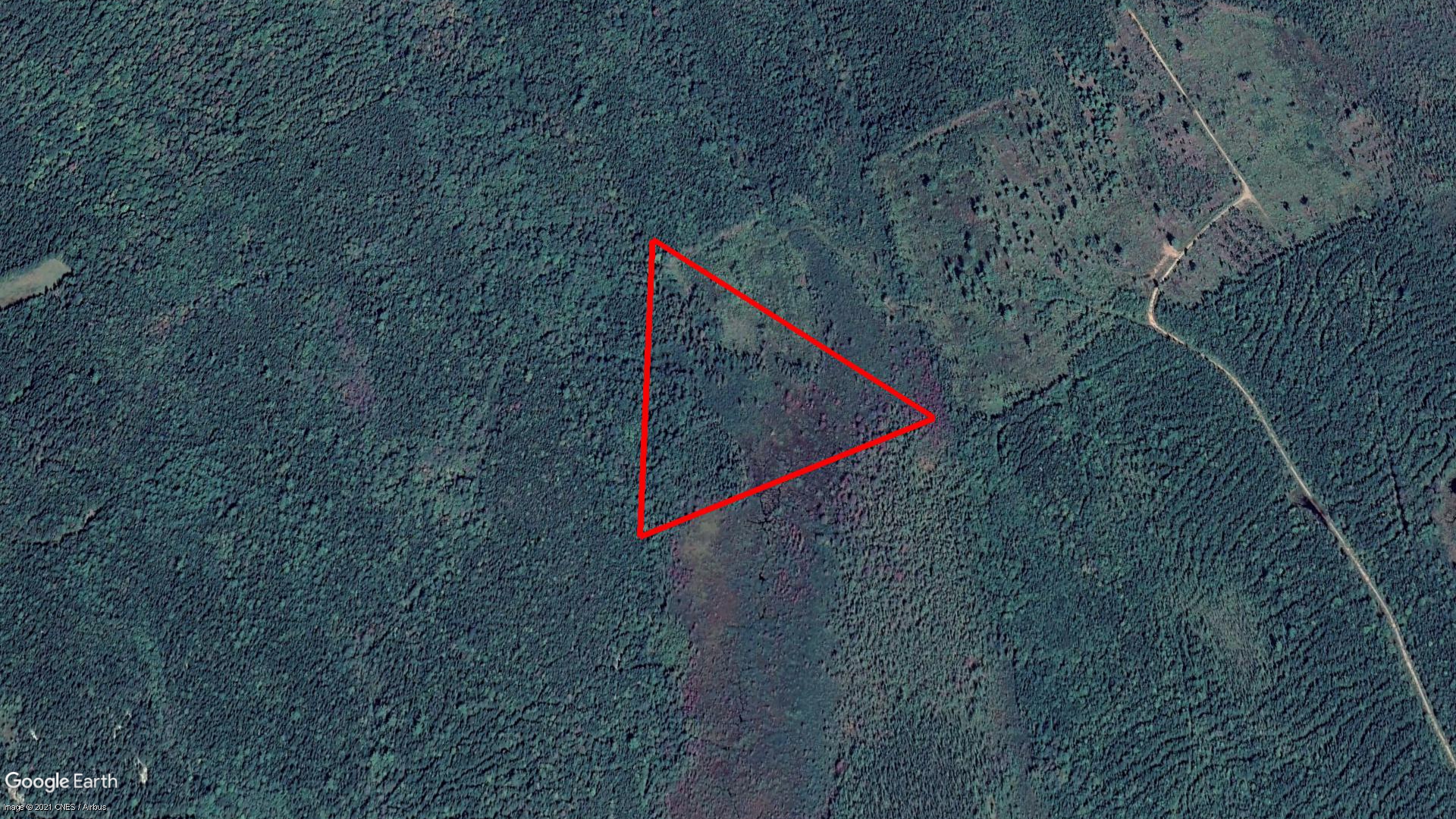 Tax Sale Fredericton, New Brunswick - 06393621 