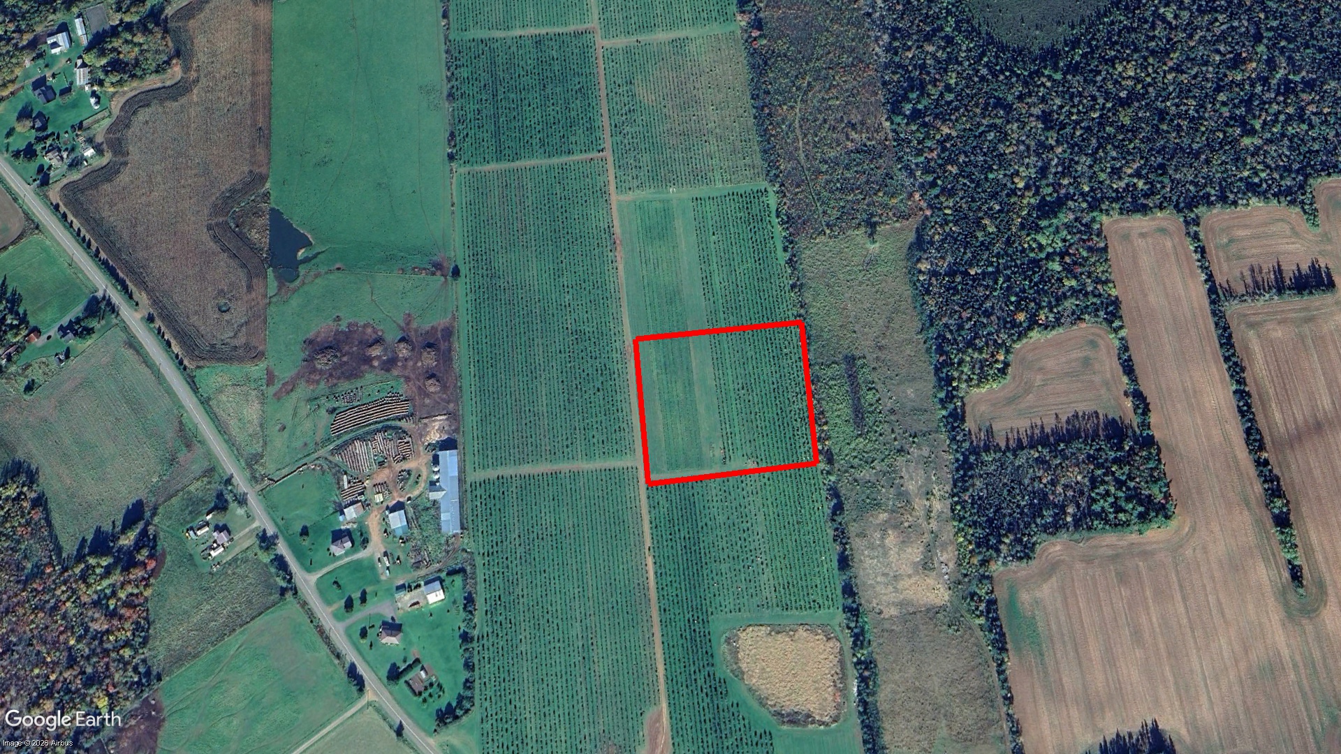 Tax Sale Charlottetown, Prince Edward Island - 