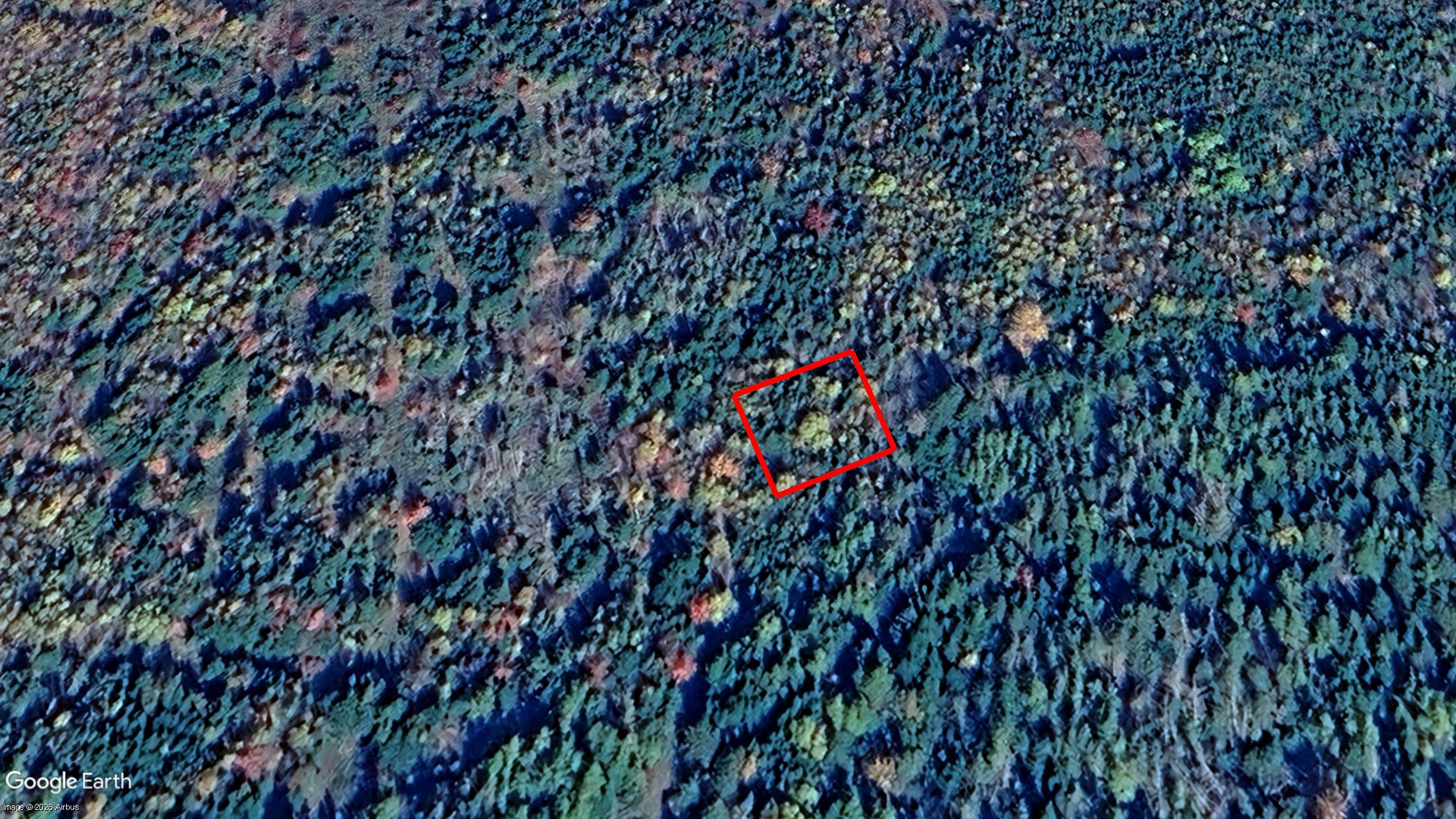 Tax Sale Halifax, Nova Scotia - 01502336