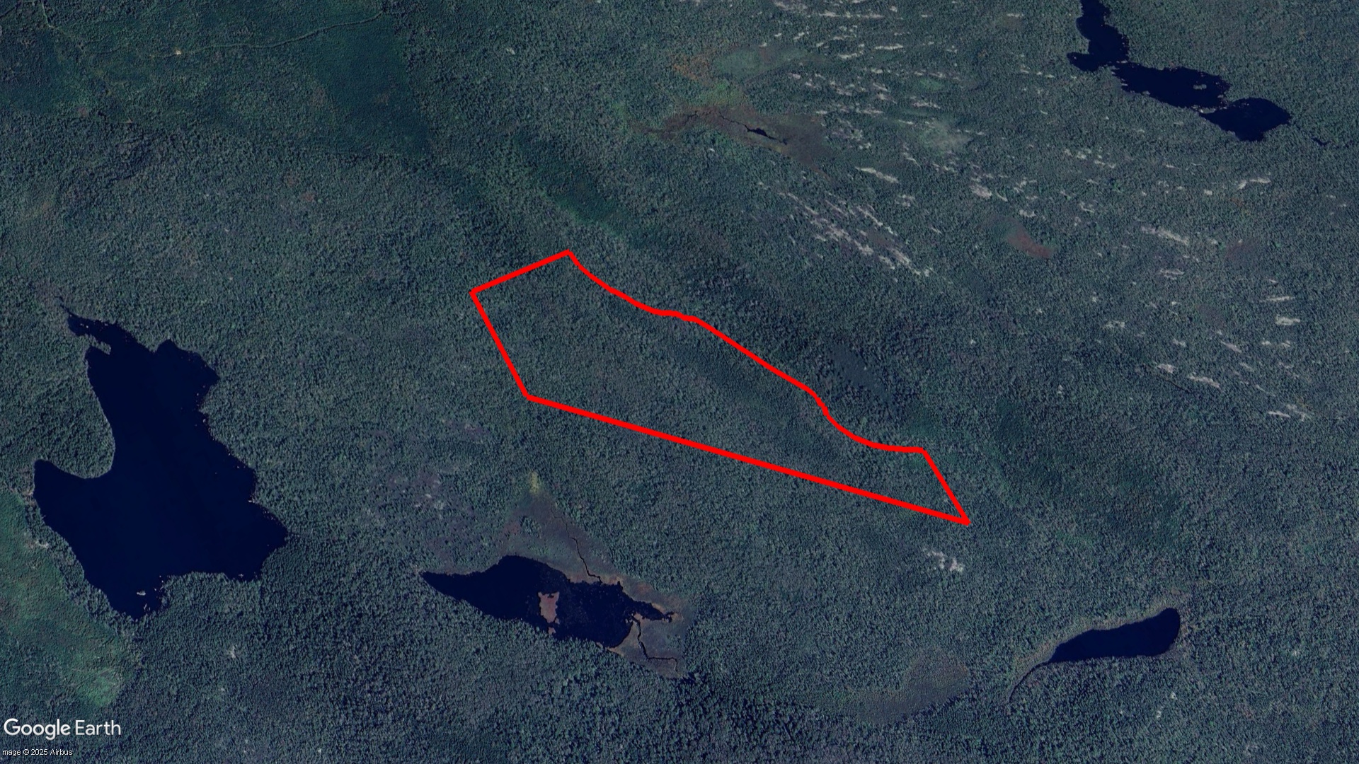 Tax Sale Halifax, Nova Scotia - 10098051