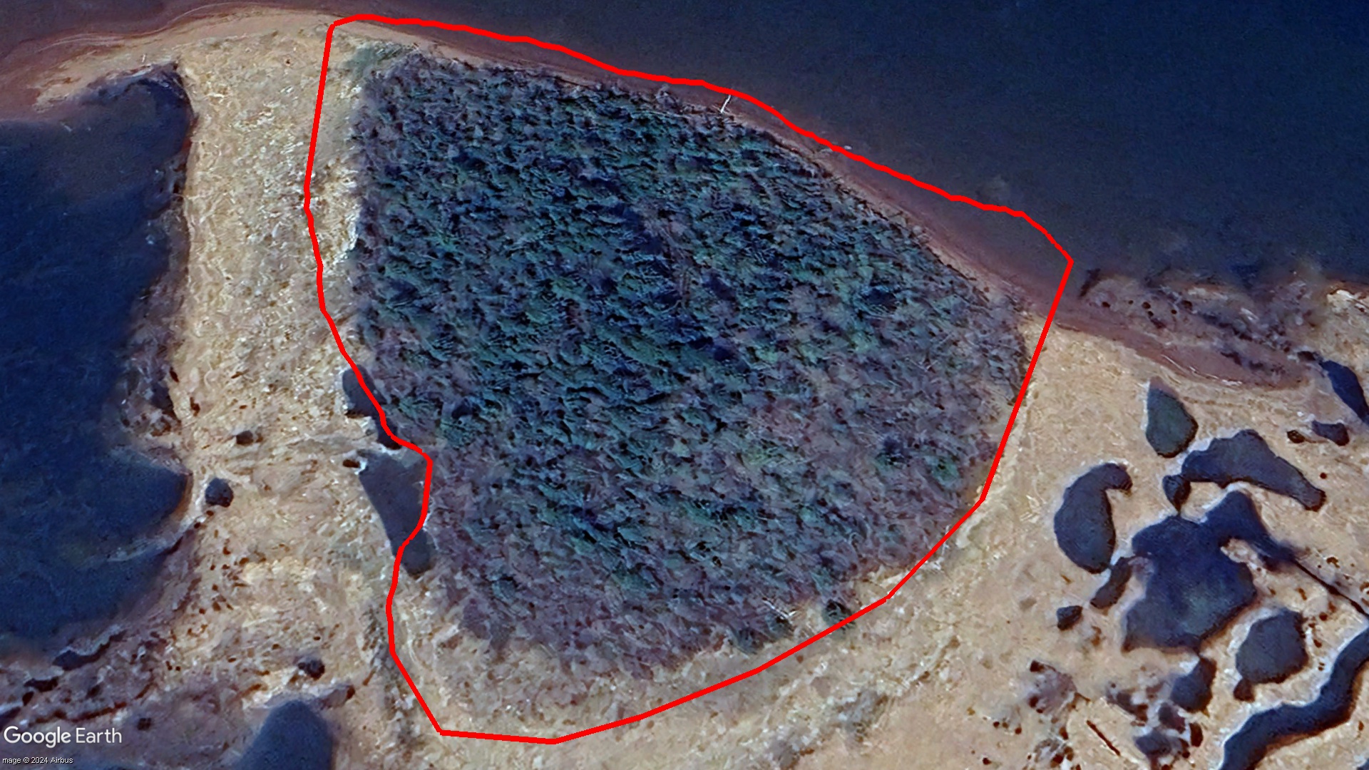 Tax Sale Albert Westmorland, New Brunswick - 03801667