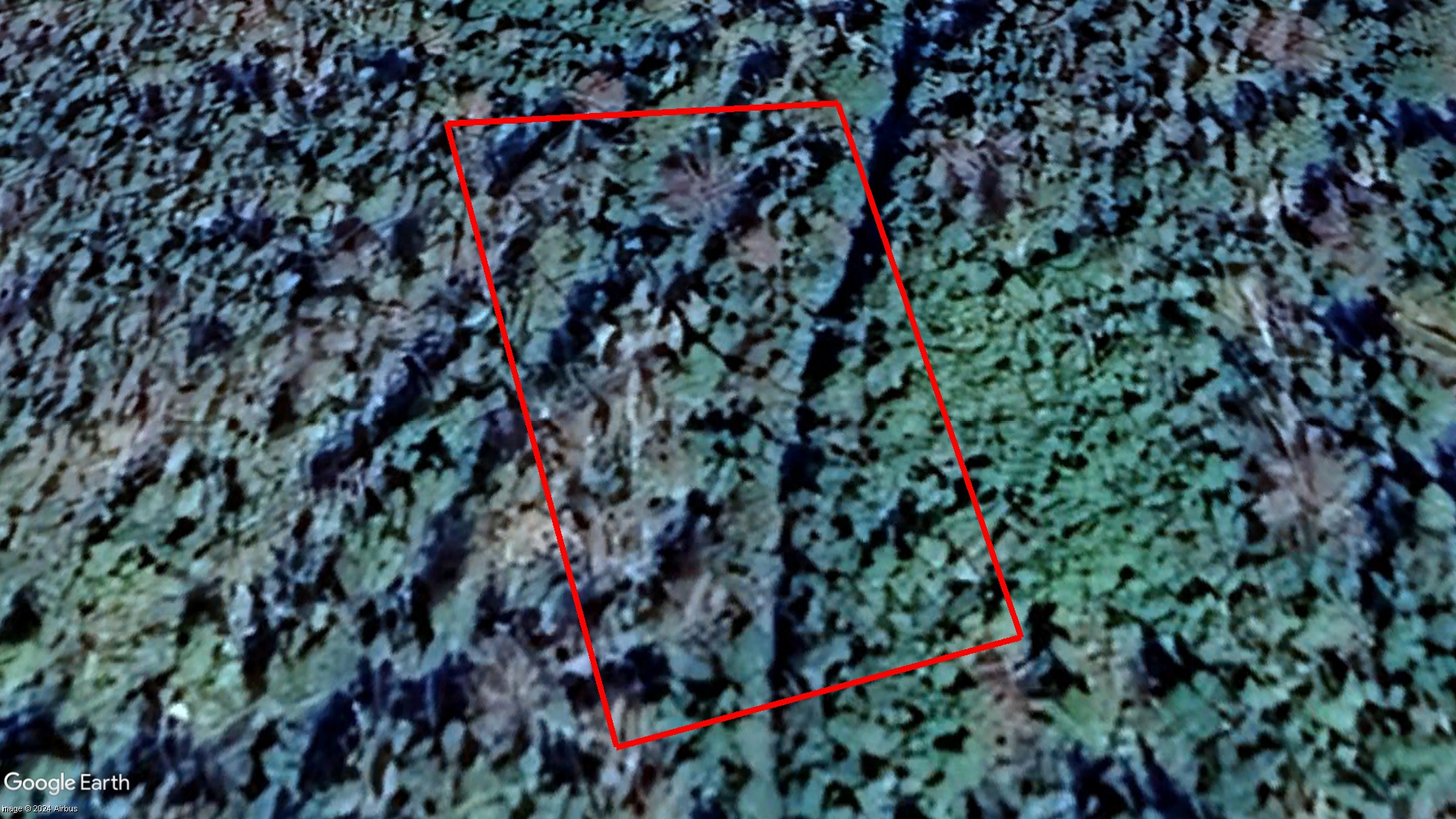 Tax Sale Halifax, Nova Scotia - 10865557