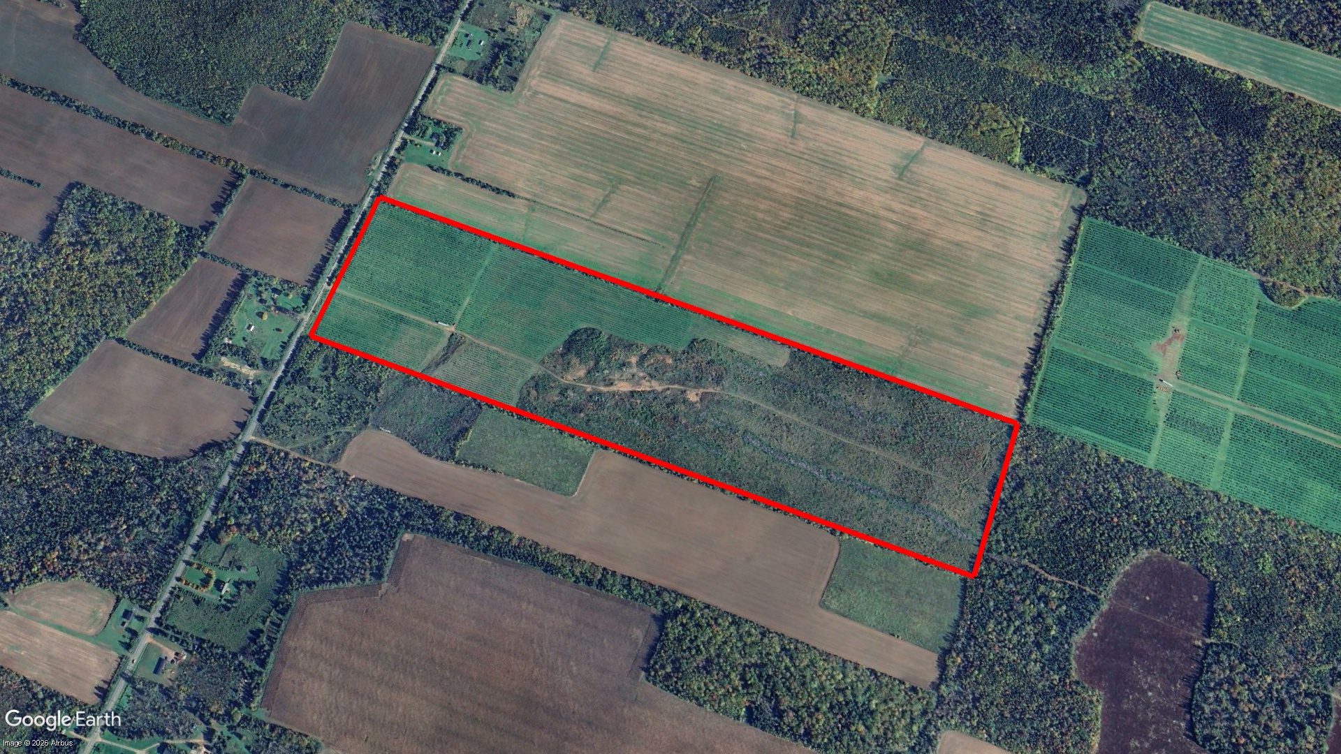 Tax Sale Charlottetown, Prince Edward Island - 