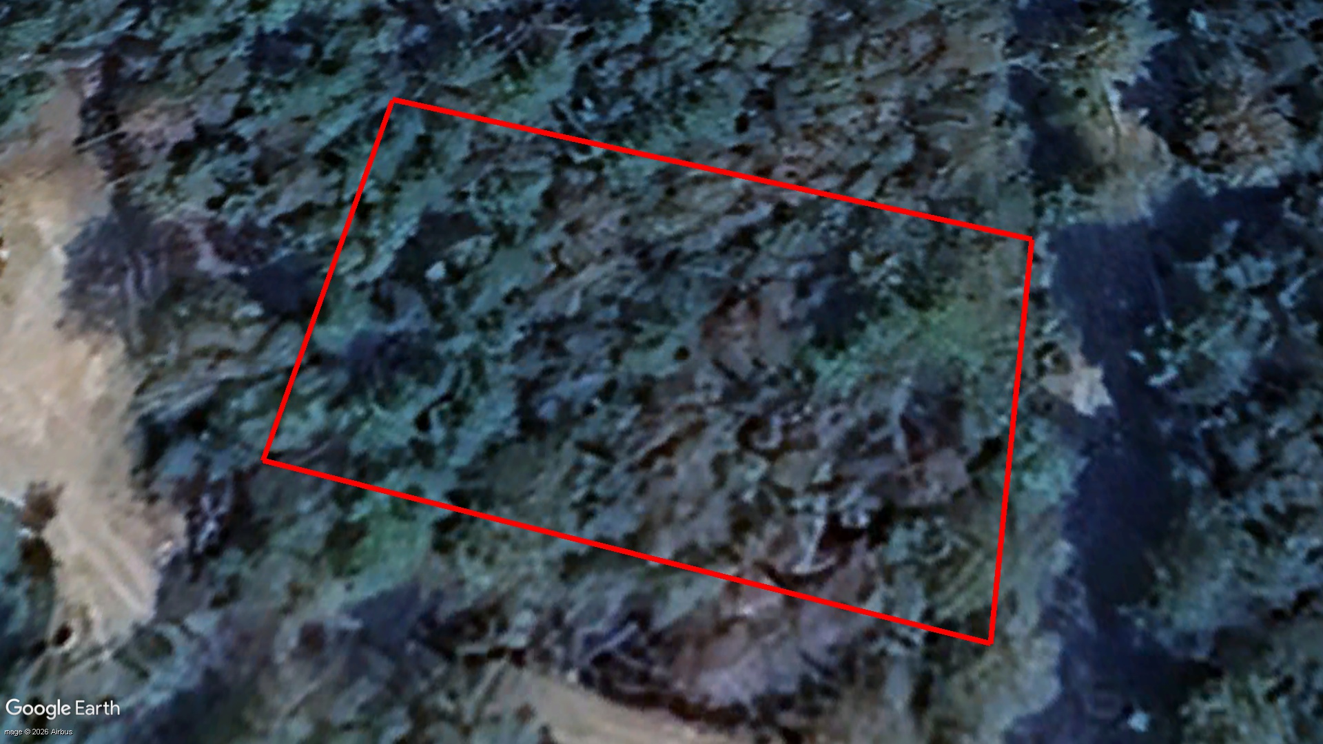 Tax Sale Shelburne, Nova Scotia - 02175959