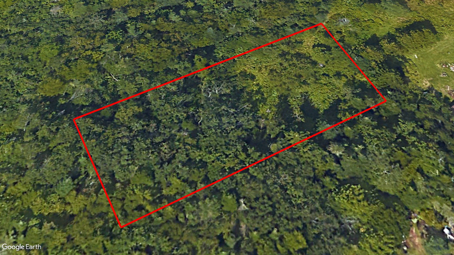 Tax Sale Saint John, New Brunswick - 01569049