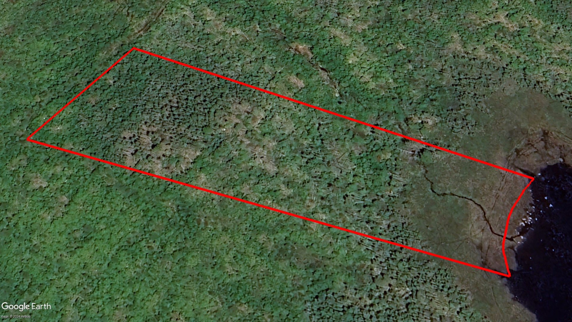 Tax Sale Halifax, Nova Scotia - 09386998