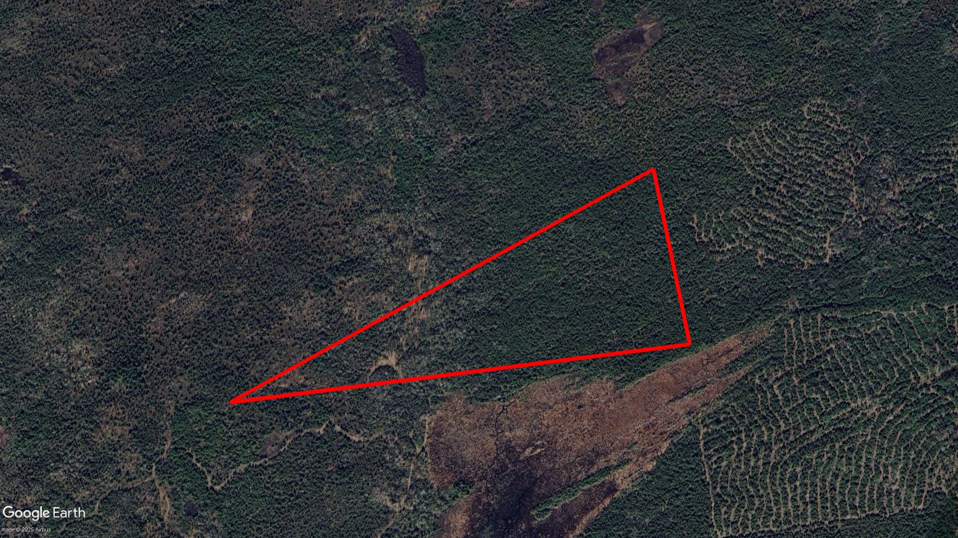 Tax Sale Northern Bruce Peninsula, Ontario - 41 09 660 001 18000 0000