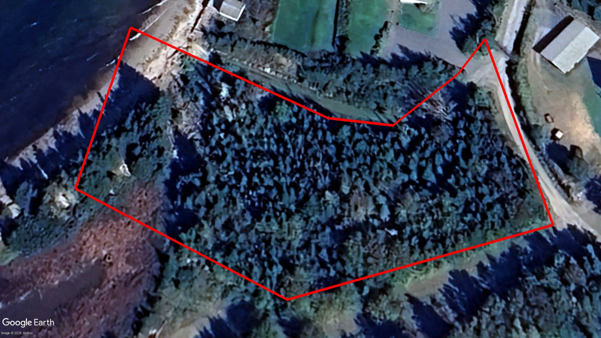 Tax Sale Halifax, Nova Scotia - 00803669