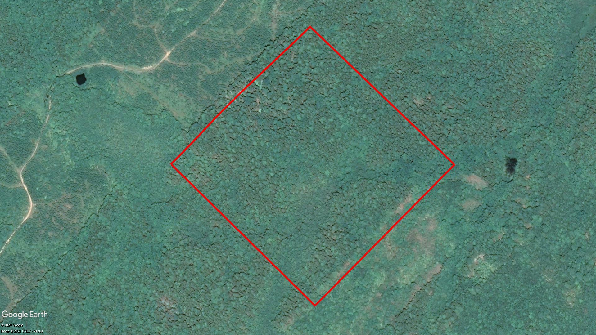 Tax Sale Lunenburg, Nova Scotia - 08147671