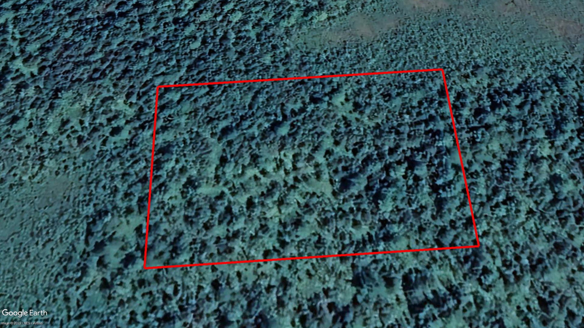 Tax Sale Lunenburg, Nova Scotia - 10011442