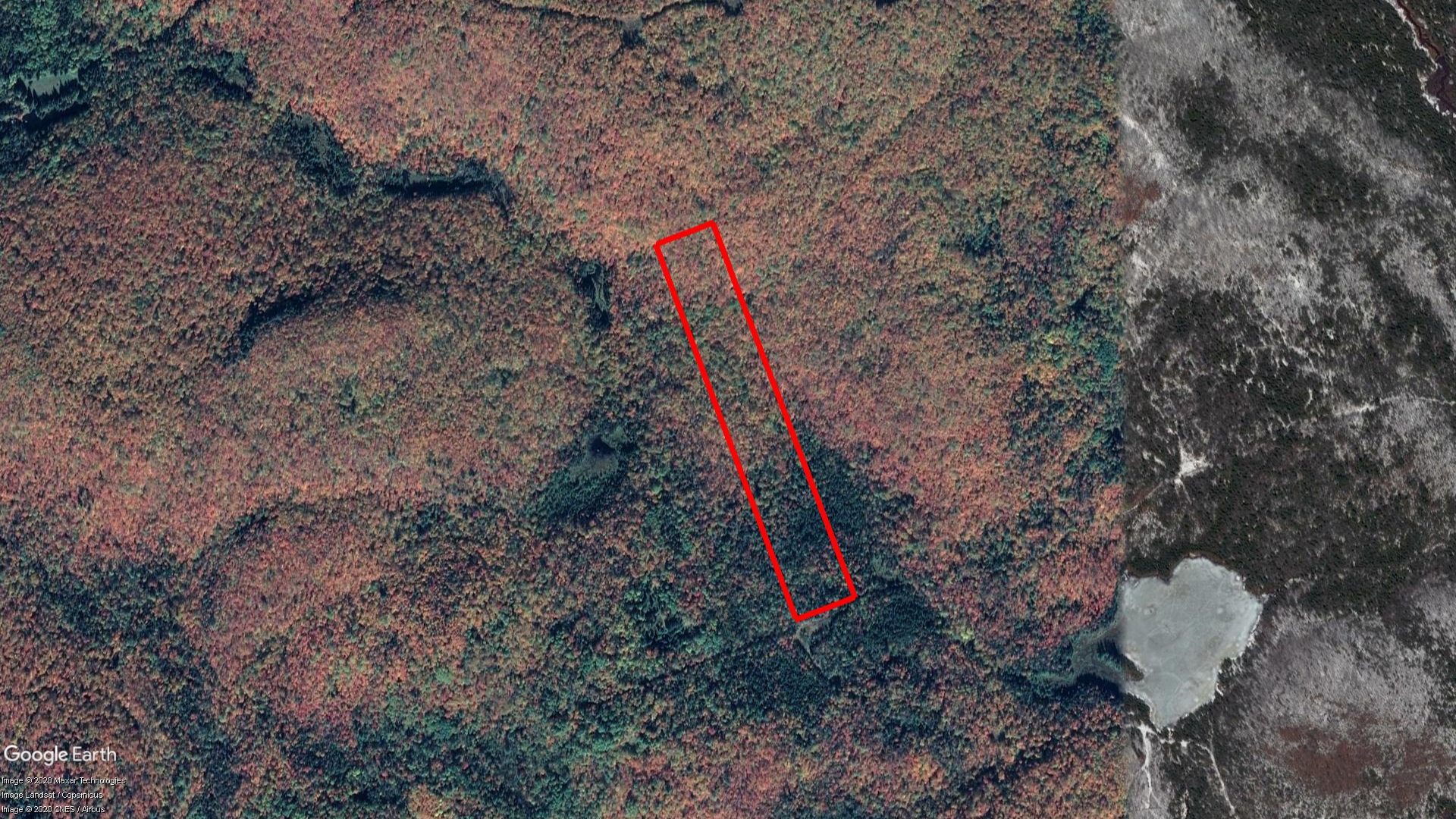 Tax Sale Kearney, Ontario - 49 18 020 006 03000