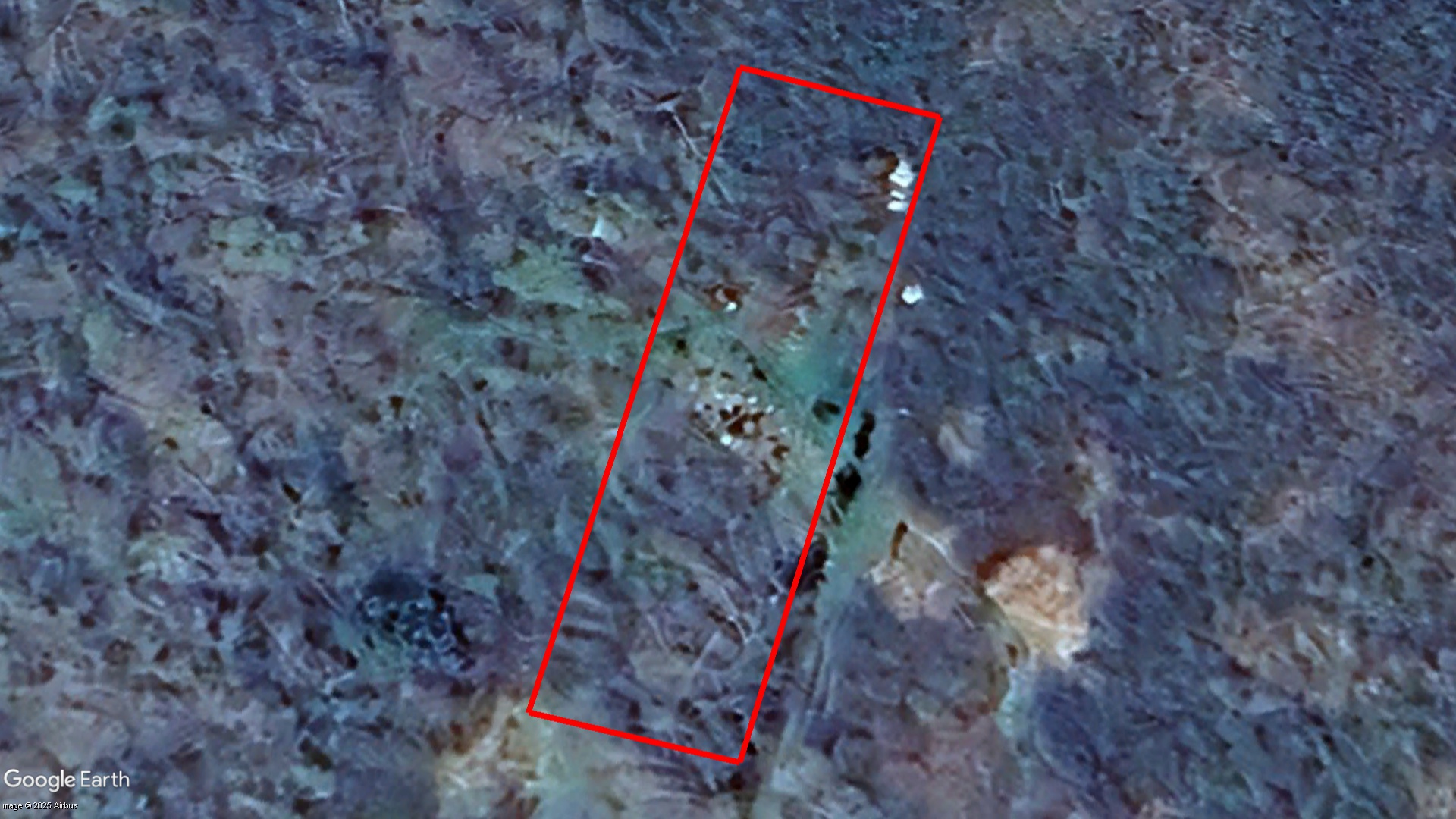 Tax Sale Albert Westmorland, New Brunswick - 01987302