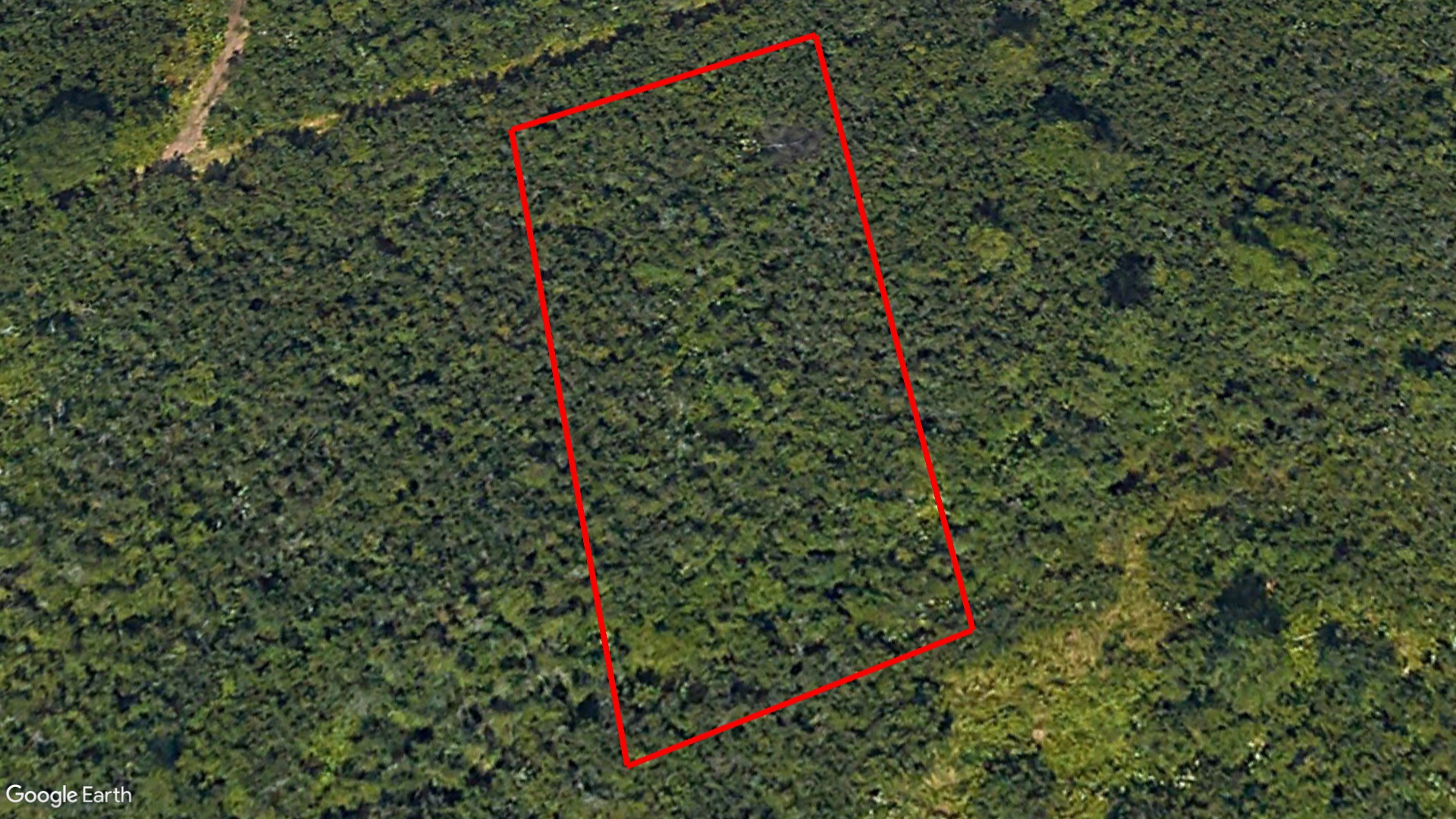 Tax Sale Saint John, New Brunswick - 01578535